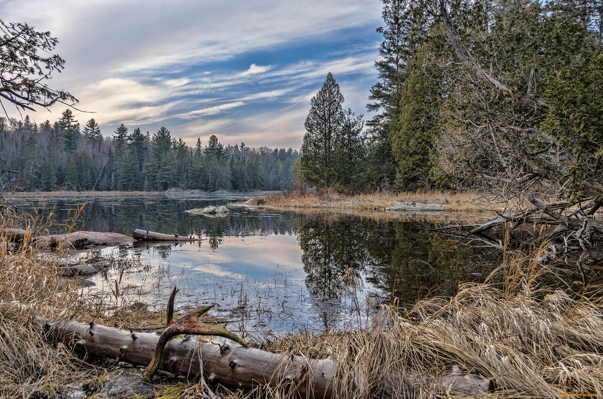 природа, реки, озера, река, лес