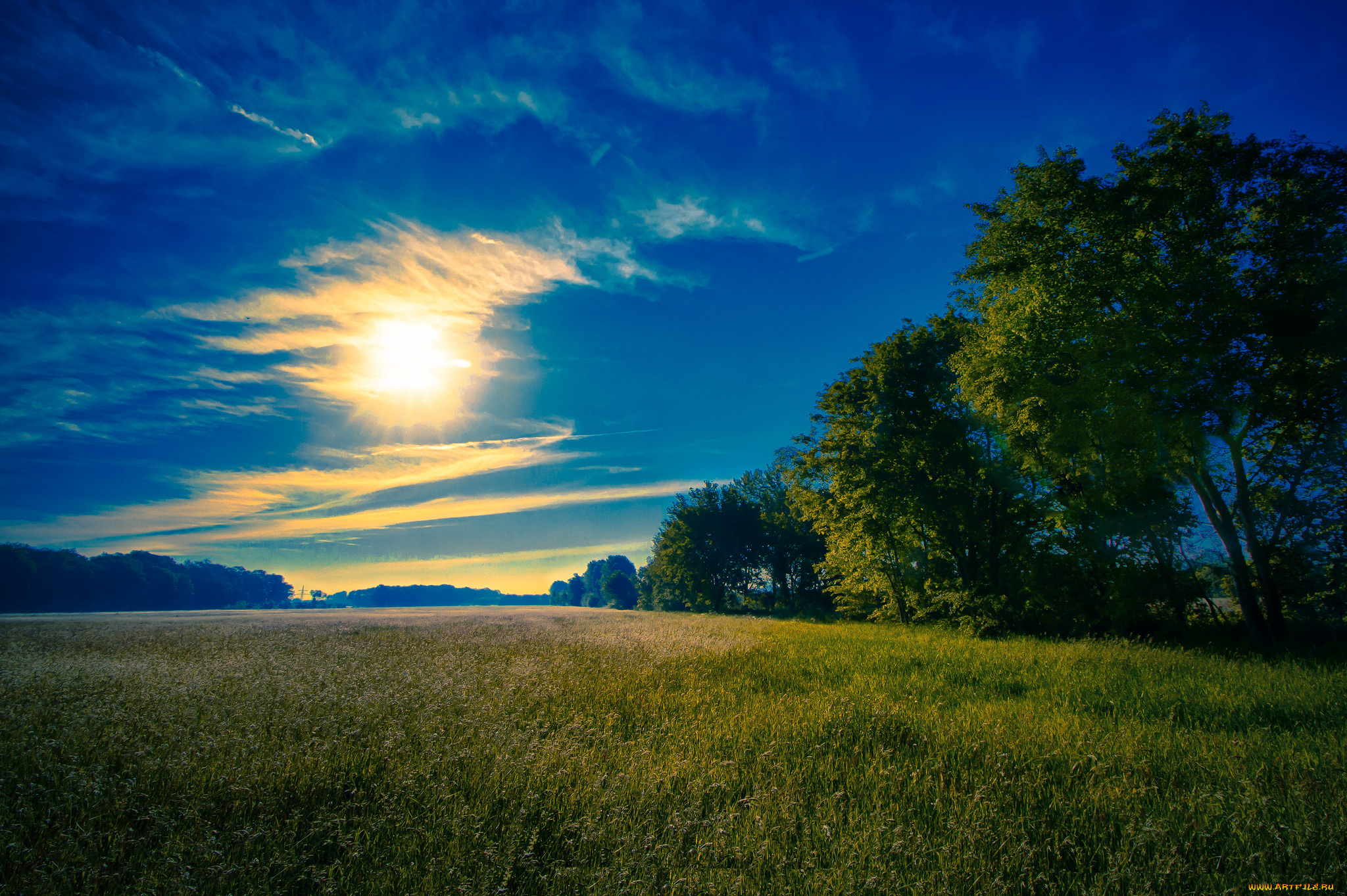 природа, восходы, закаты, солнце, поле, деревья, небо, облака