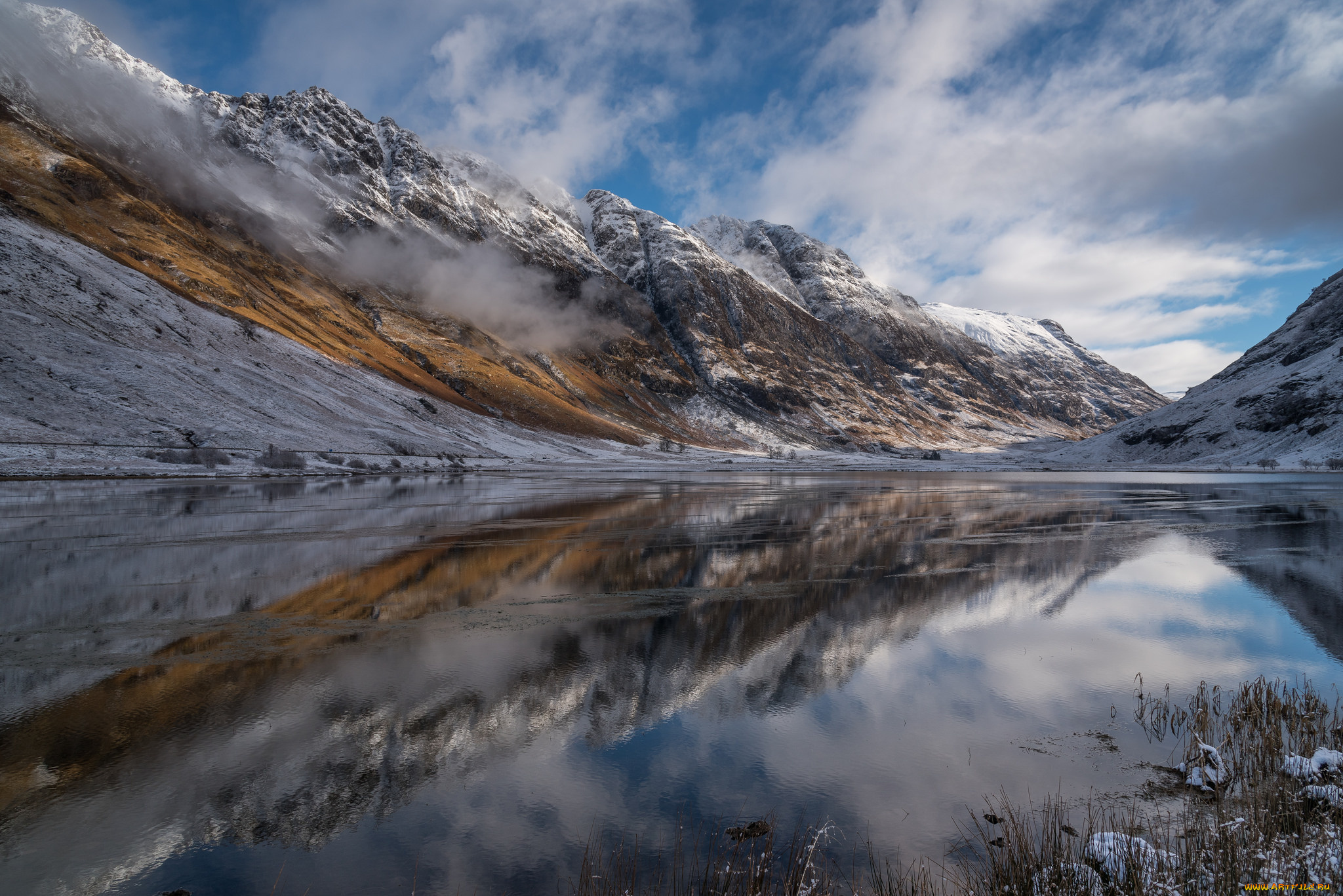 природа, реки, озера, лес, река