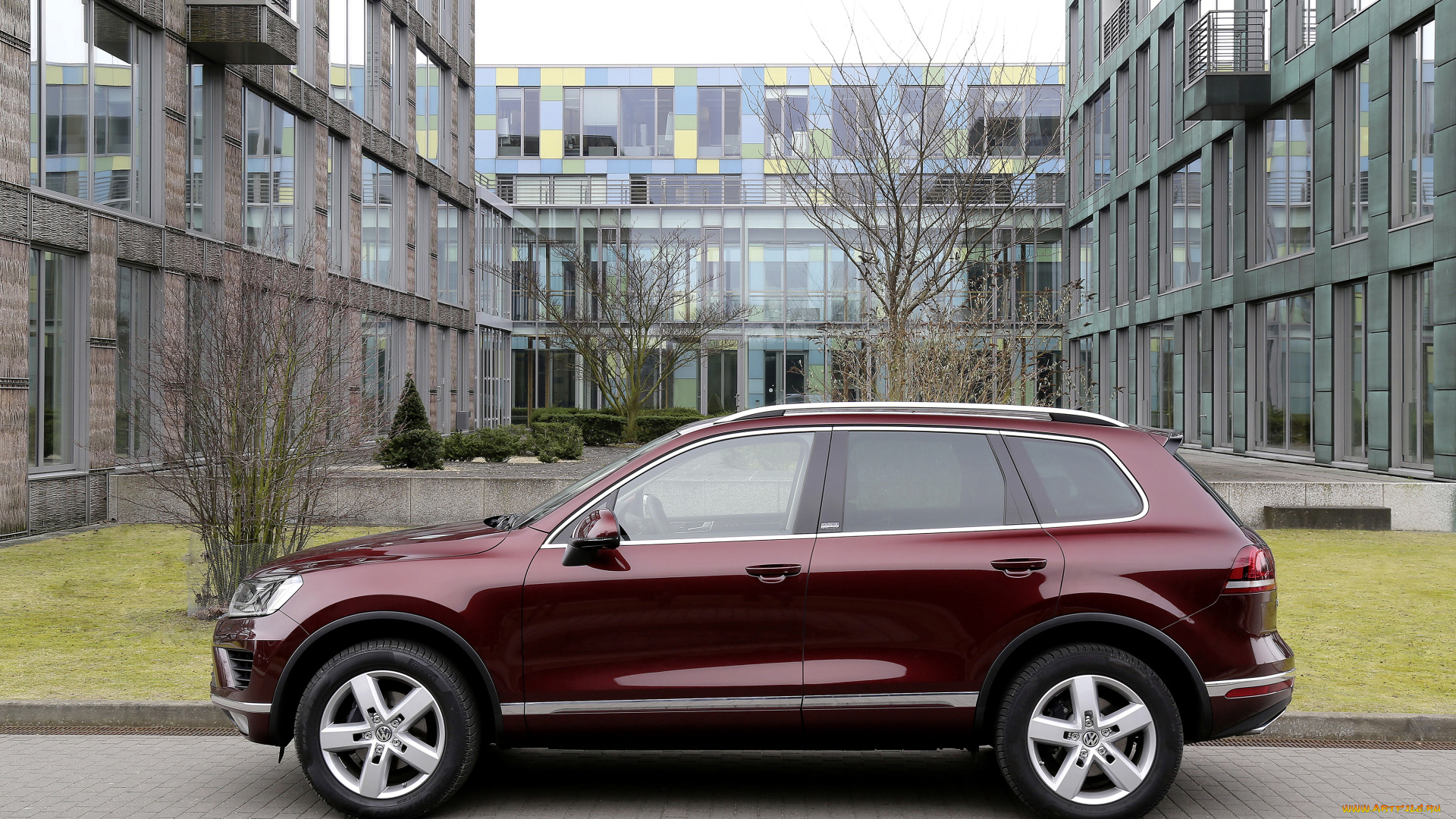 автомобили, volkswagen