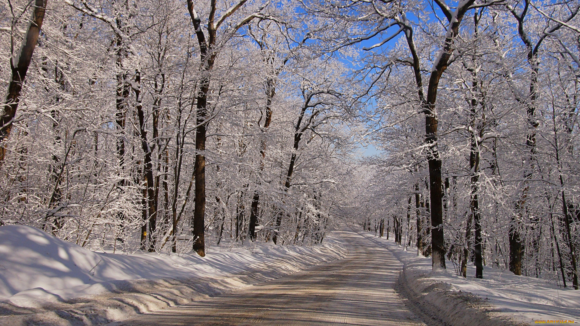 природа, дороги, тракт