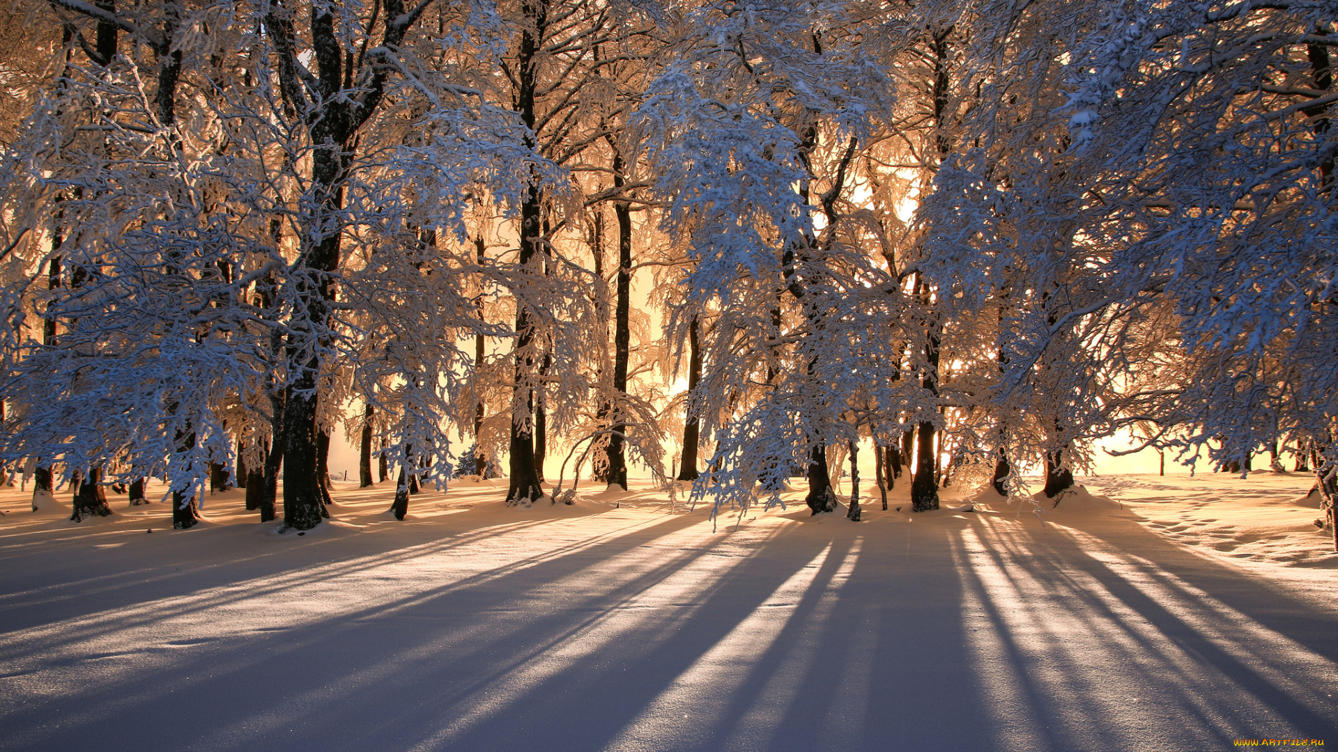 природа, дороги, тракт