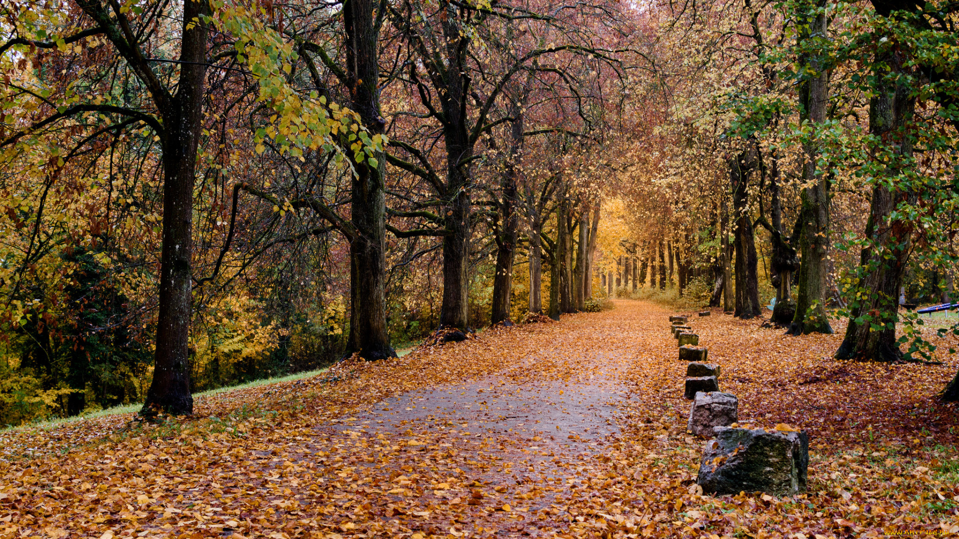 природа, дороги, тракт