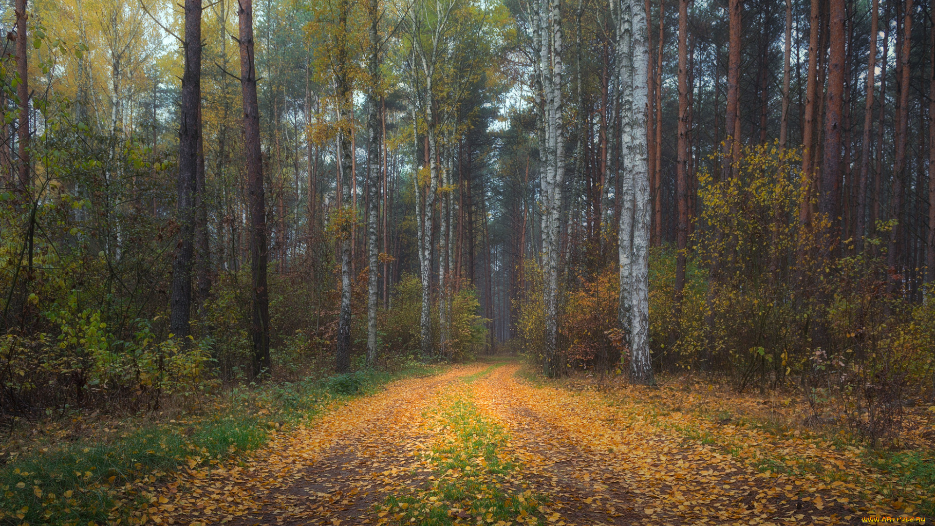 природа, дороги, тракт