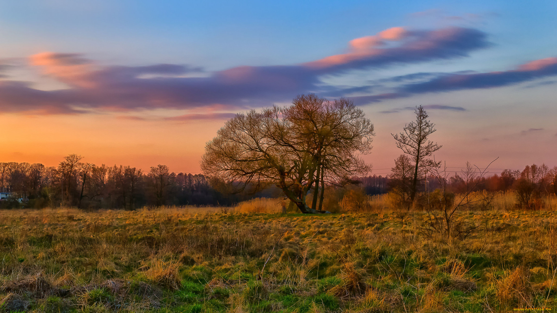 природа, пейзажи, простор