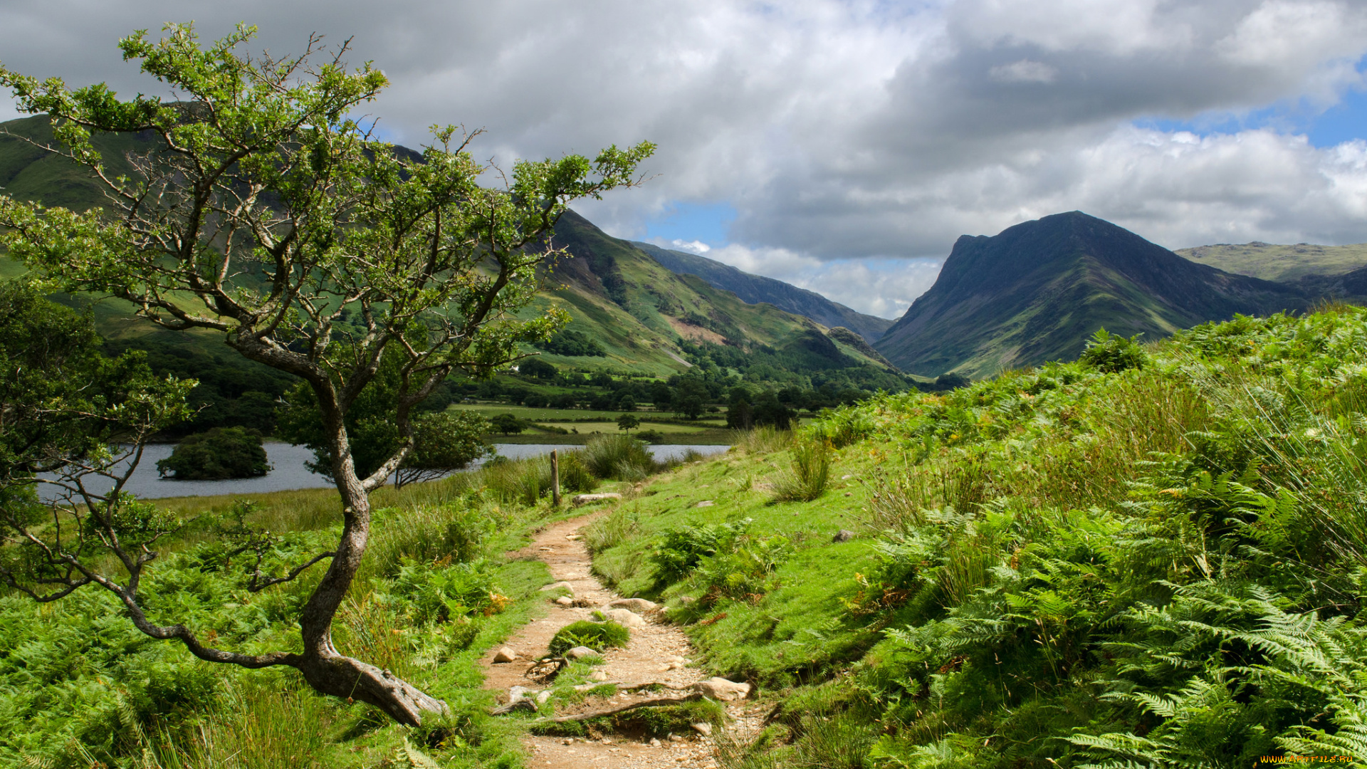 природа, пейзажи, простор