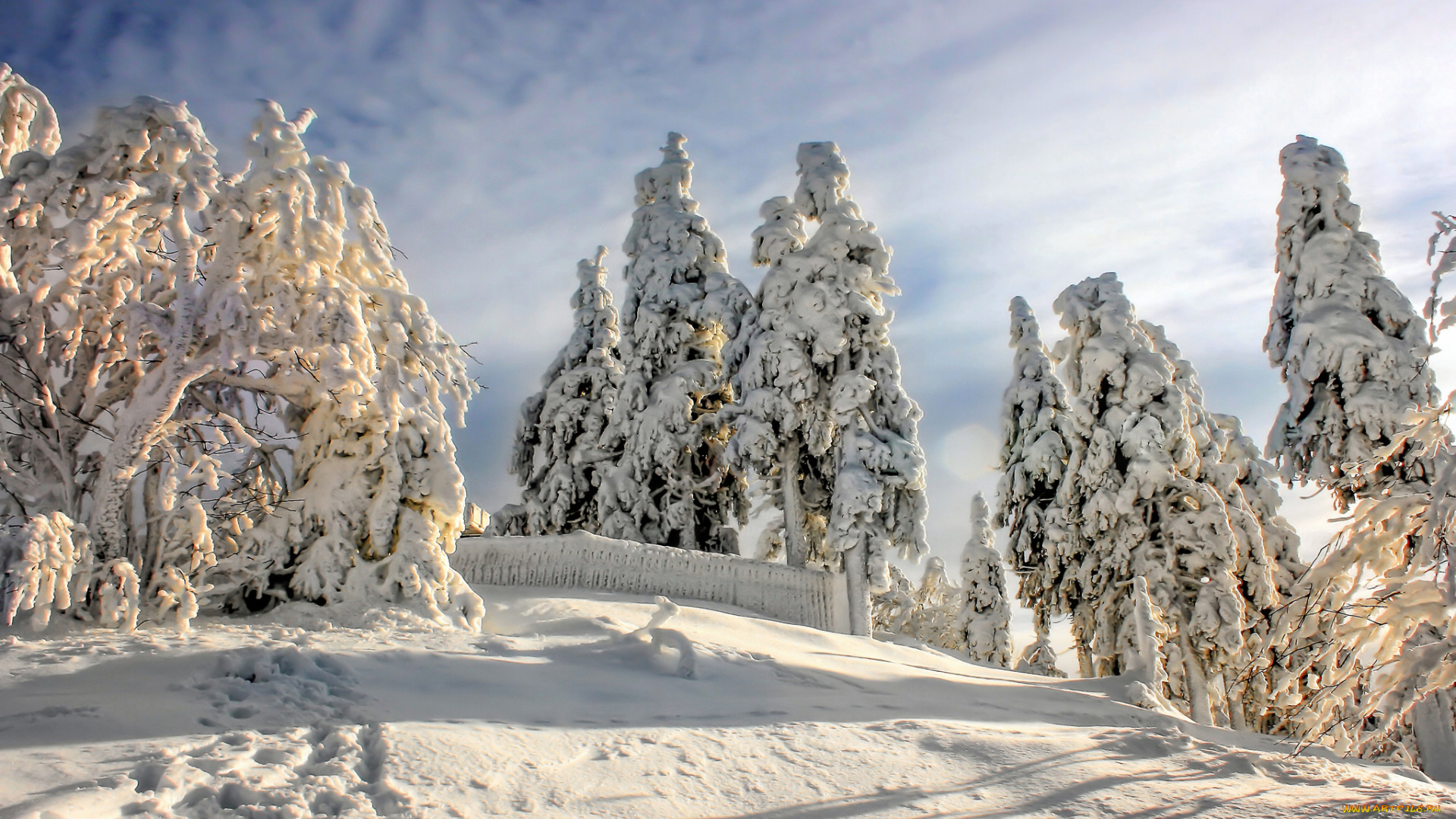 природа, зима, снег