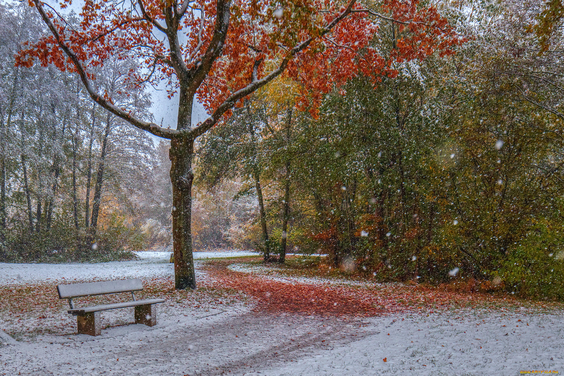 природа, дороги, тракт