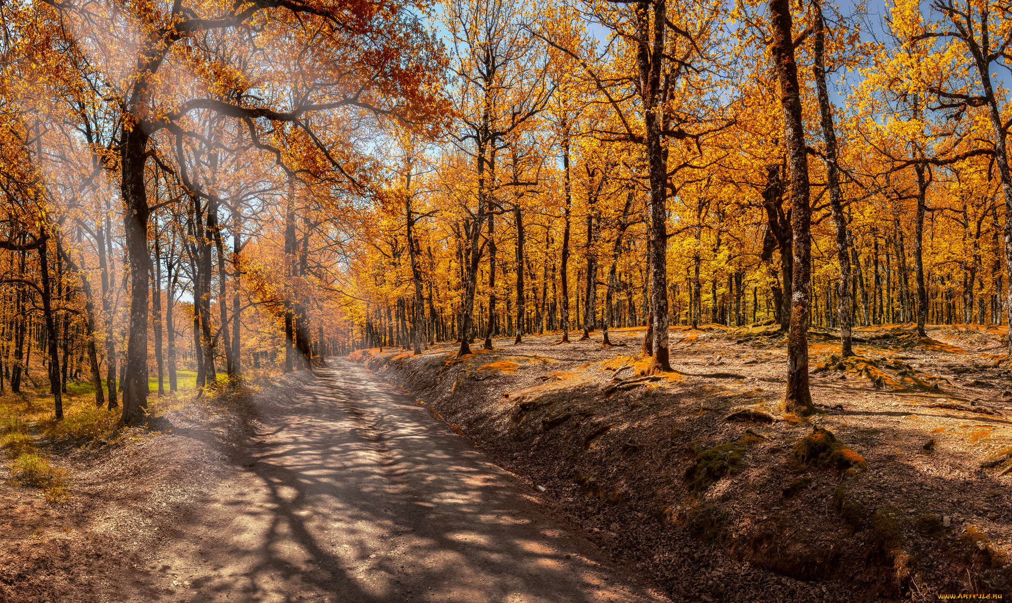 природа, дороги, тракт
