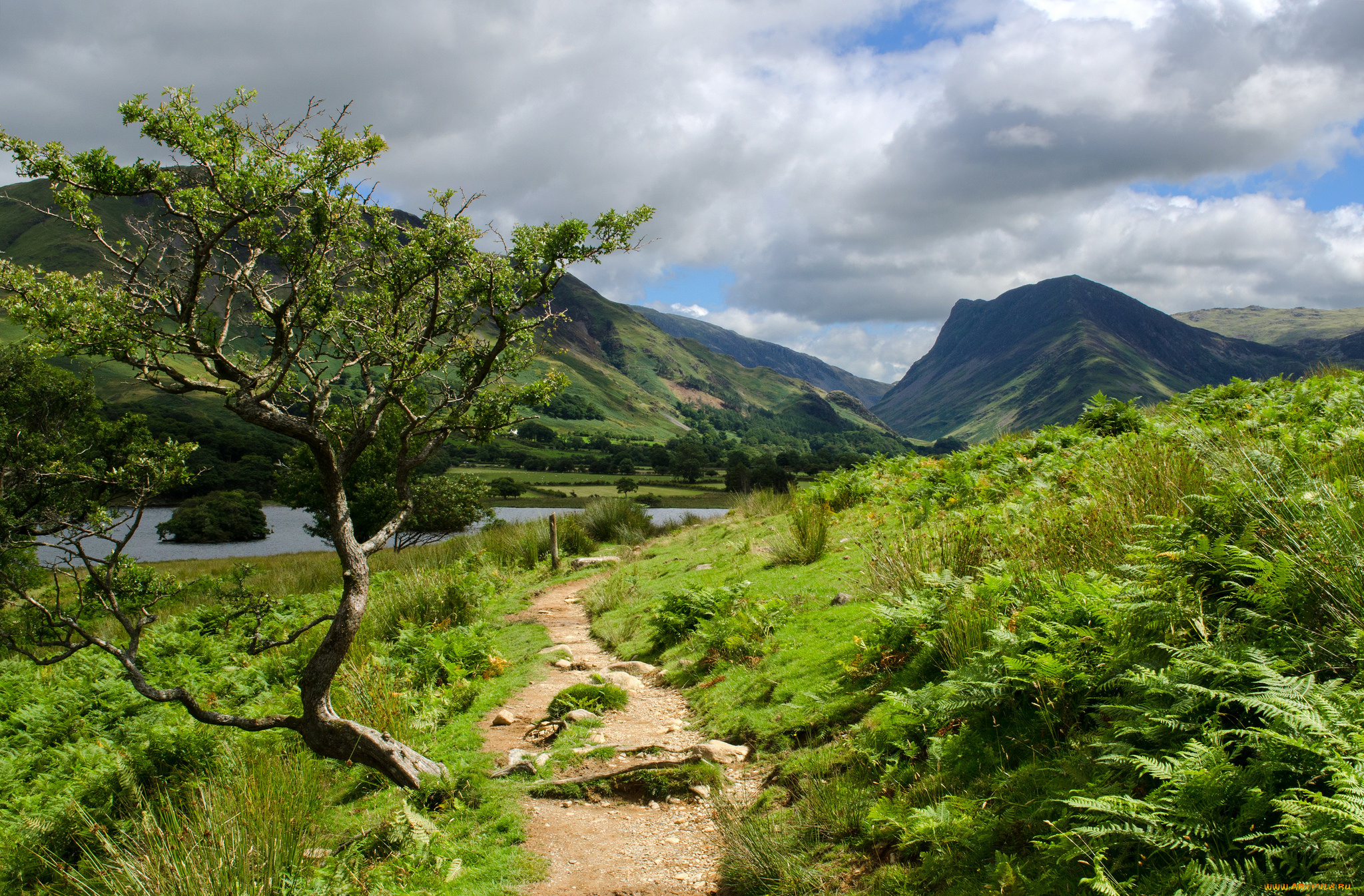 природа, пейзажи, простор