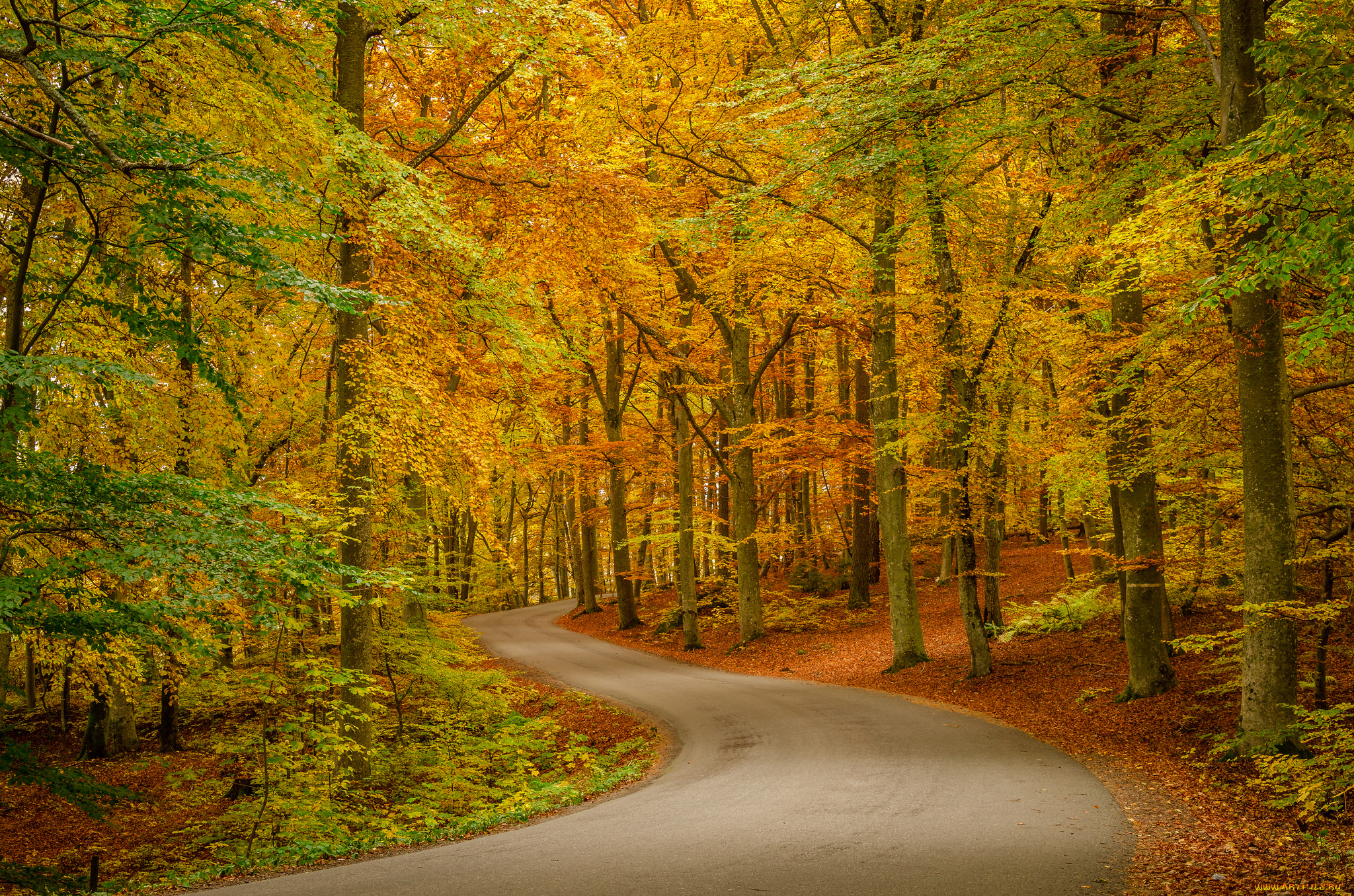 природа, дороги, тракт