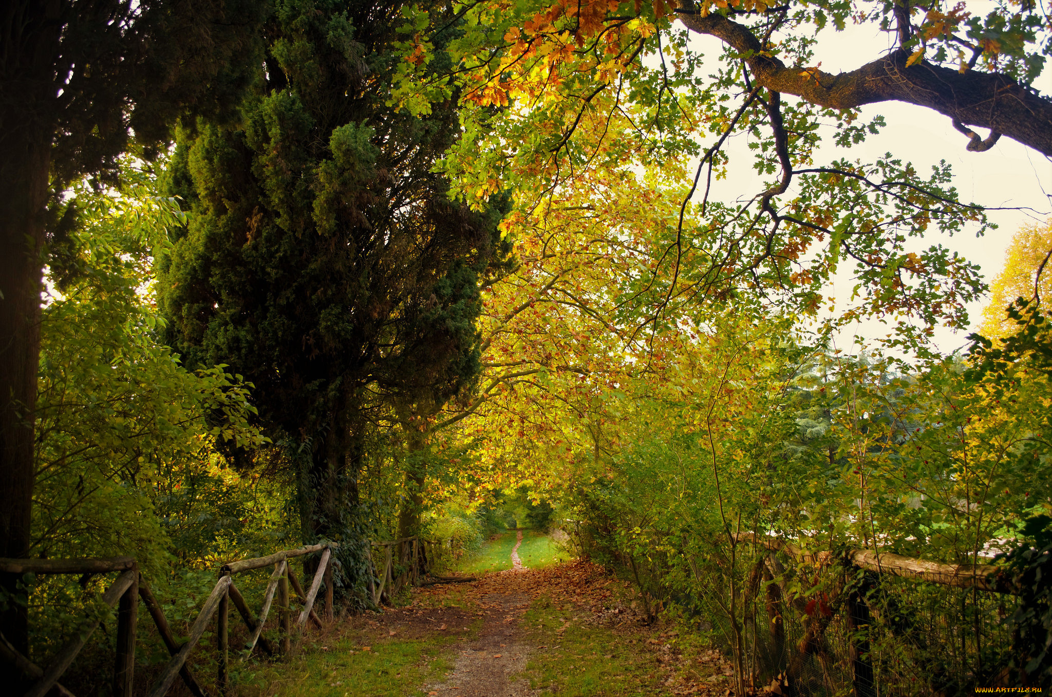 природа, дороги, тракт