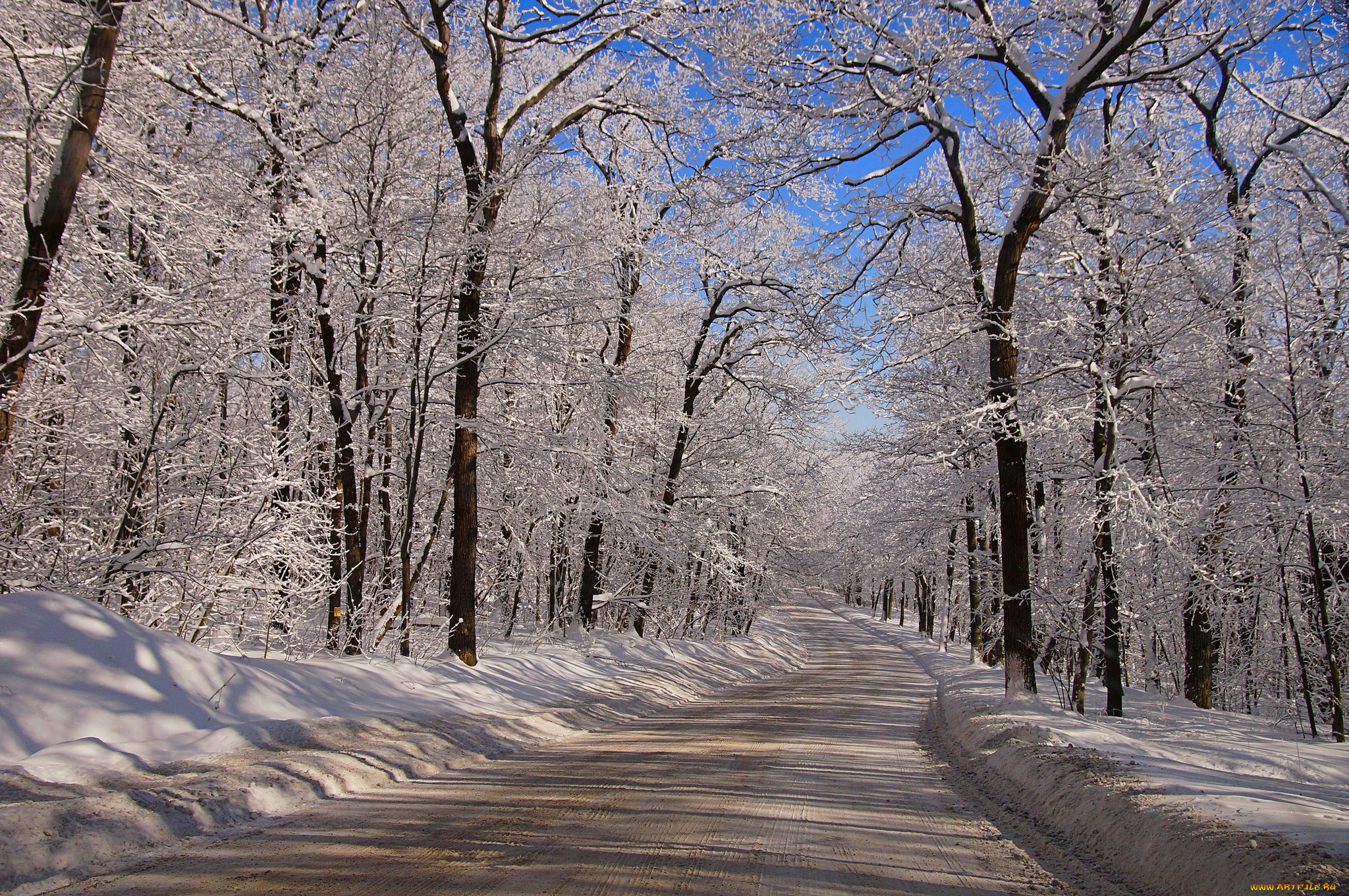 природа, дороги, тракт