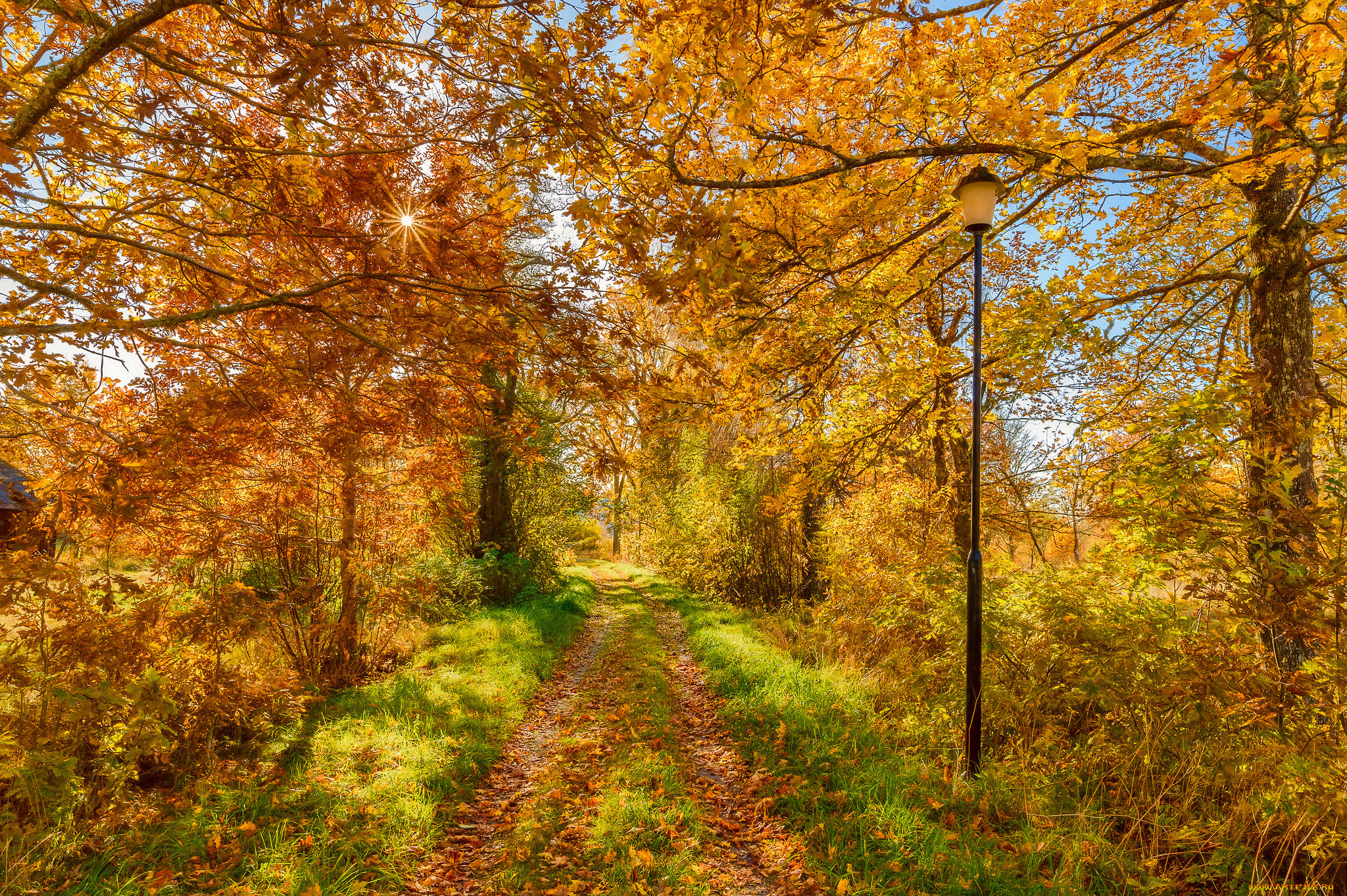 природа, дороги, тракт