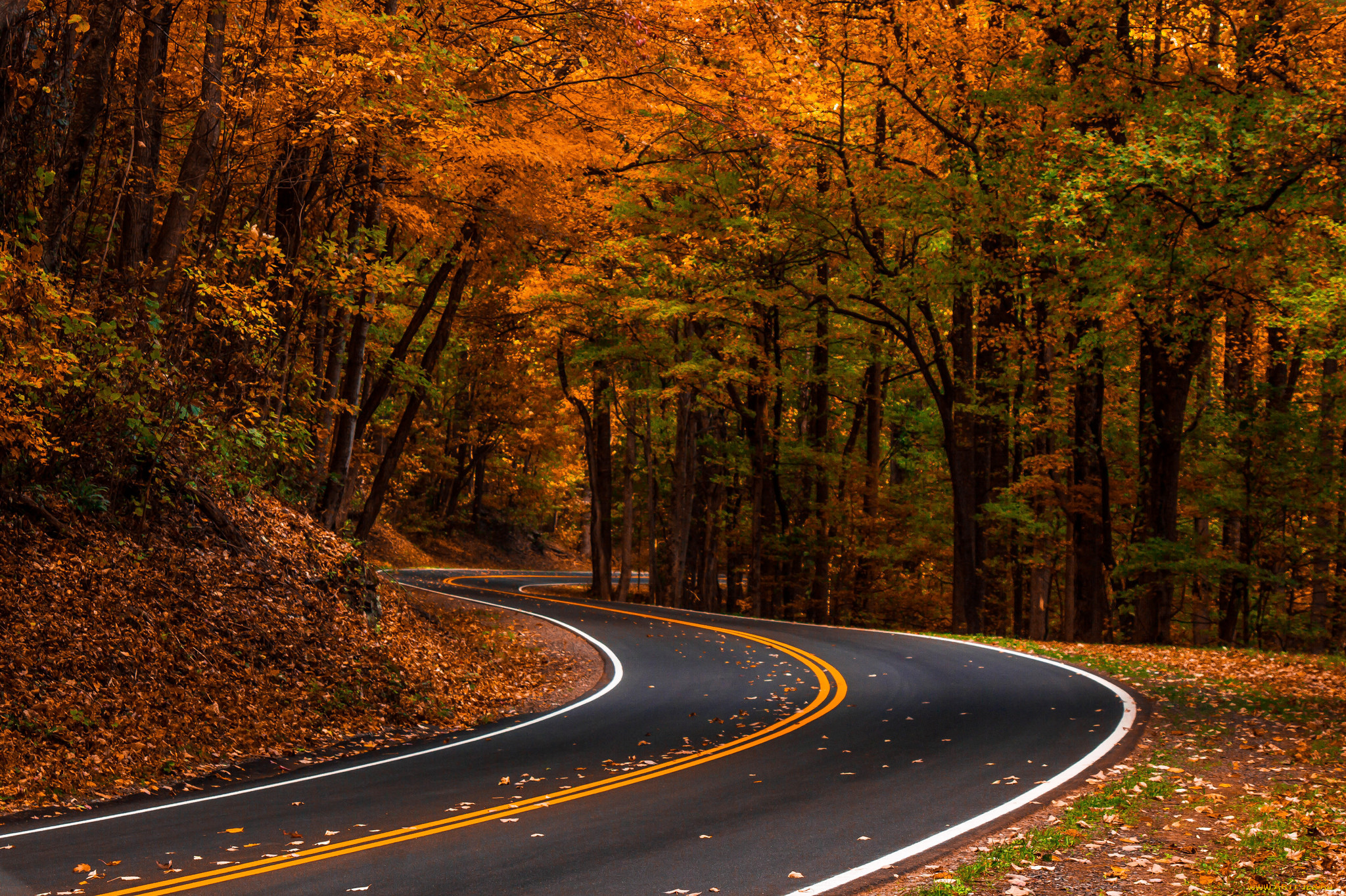 природа, дороги, тракт