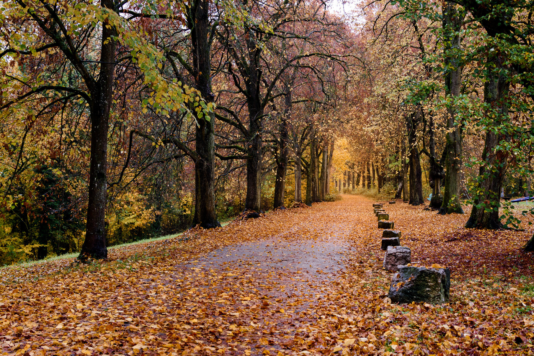 природа, дороги, тракт