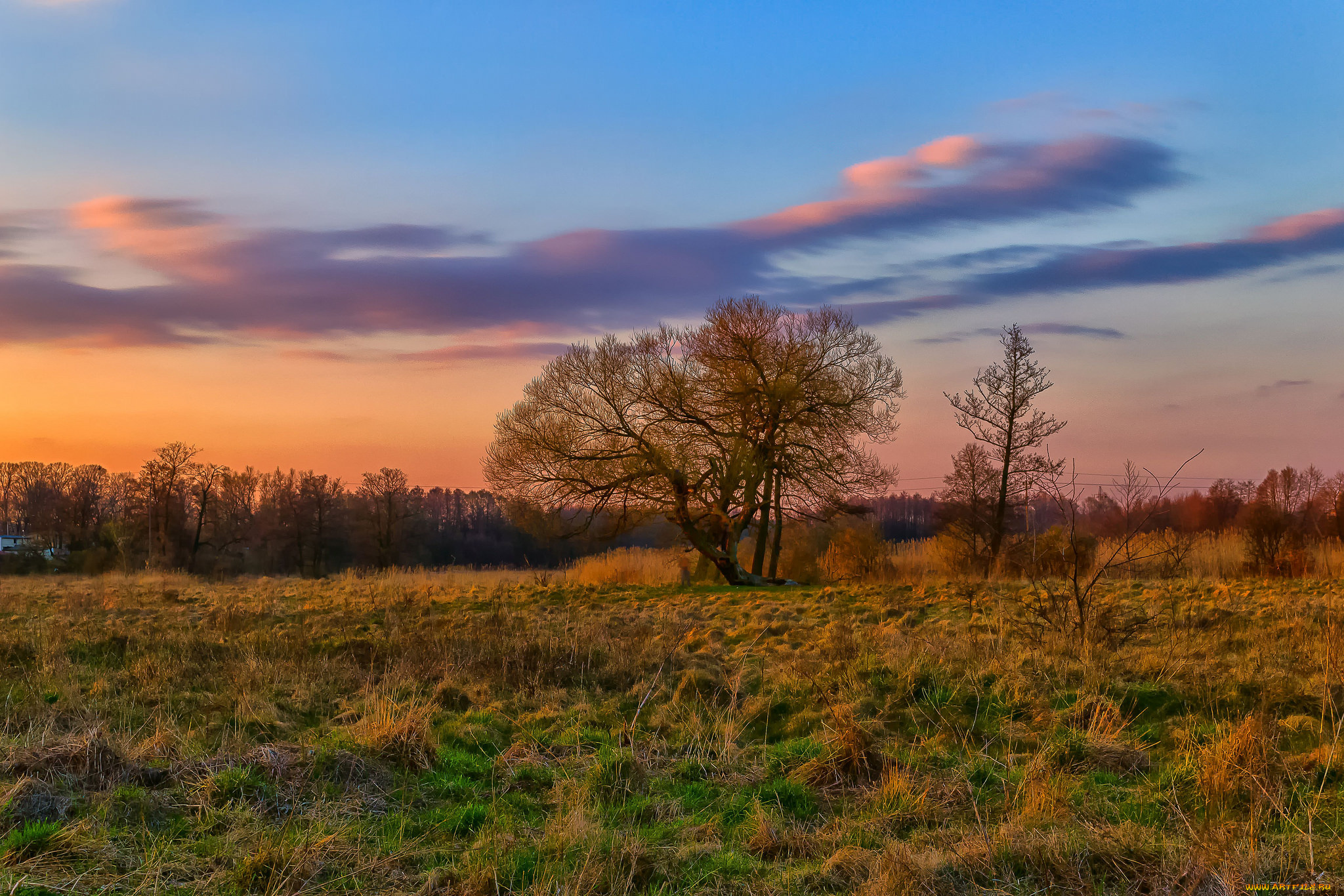 природа, пейзажи, простор