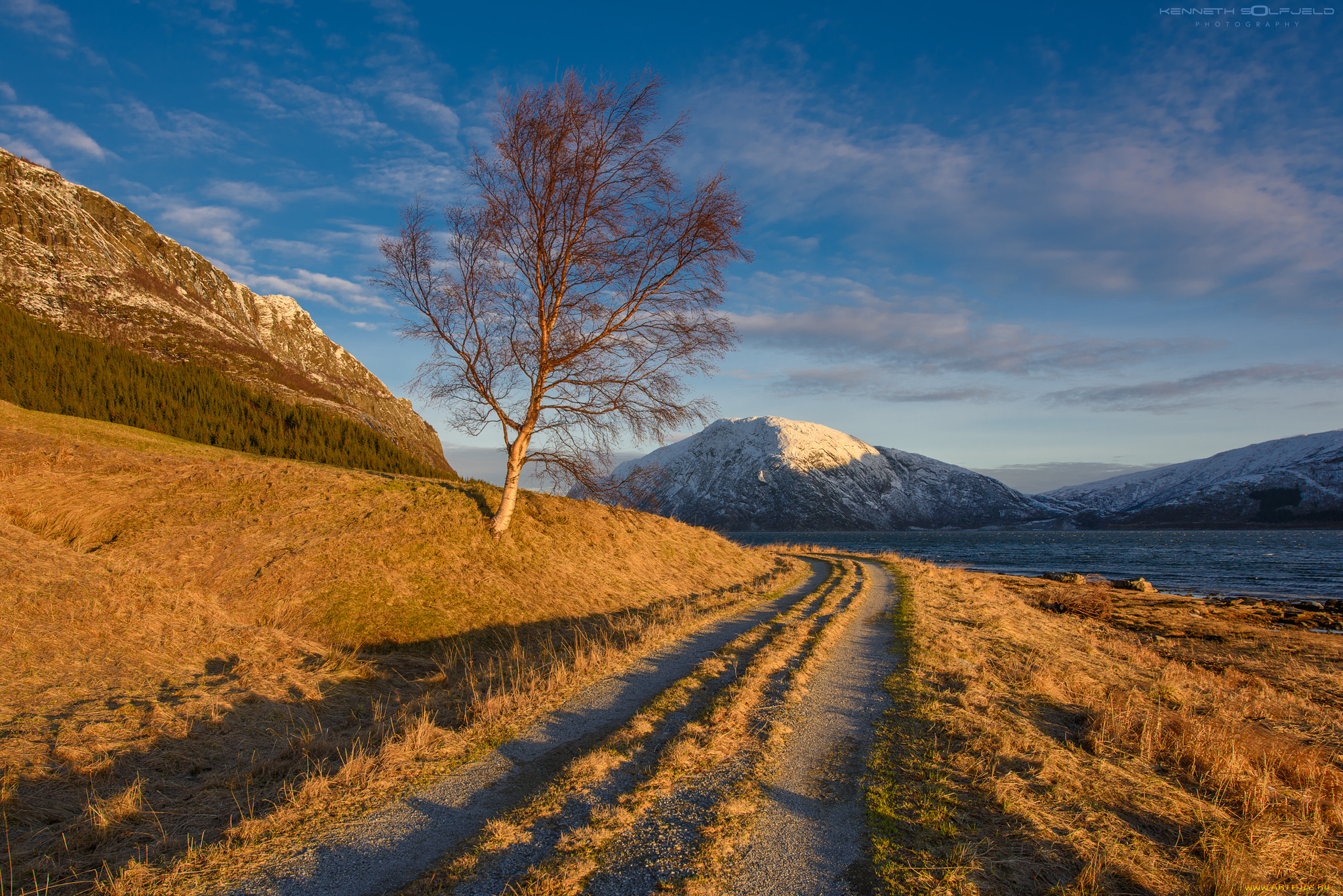 природа, дороги, тракт