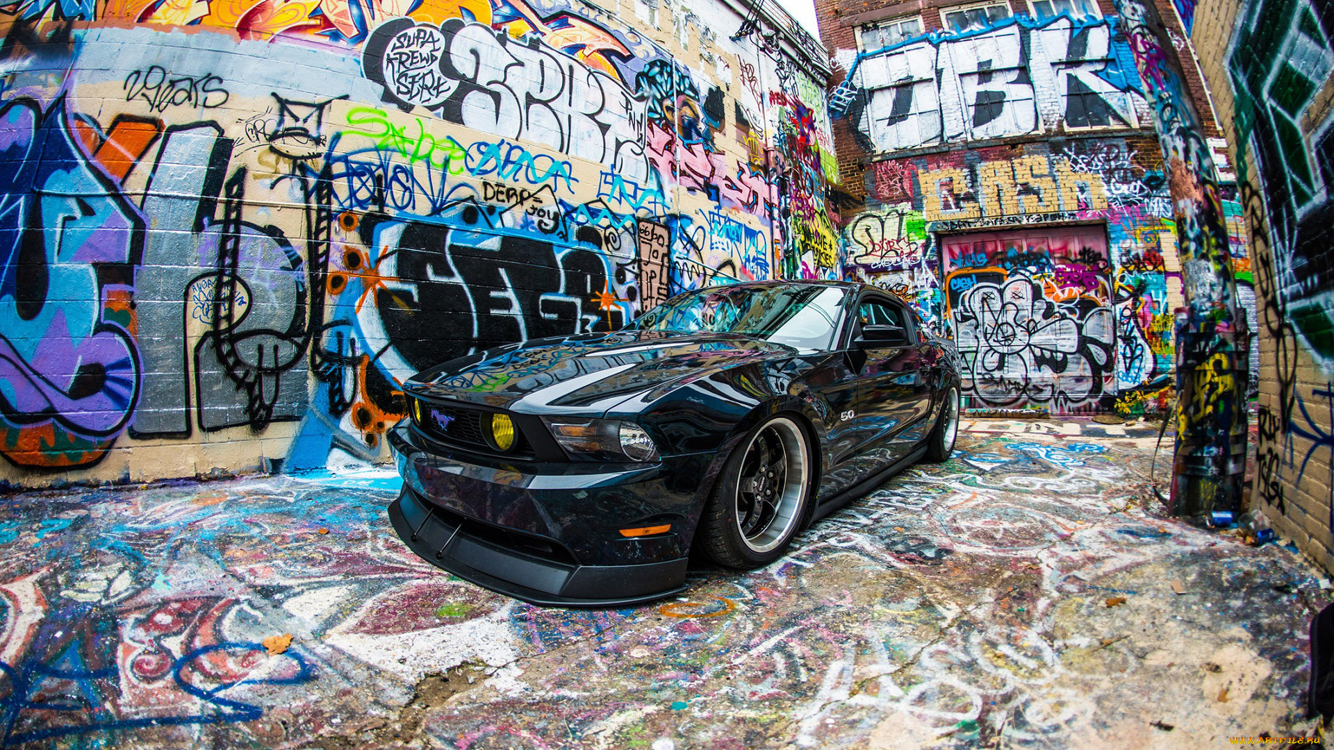 автомобили, mustang