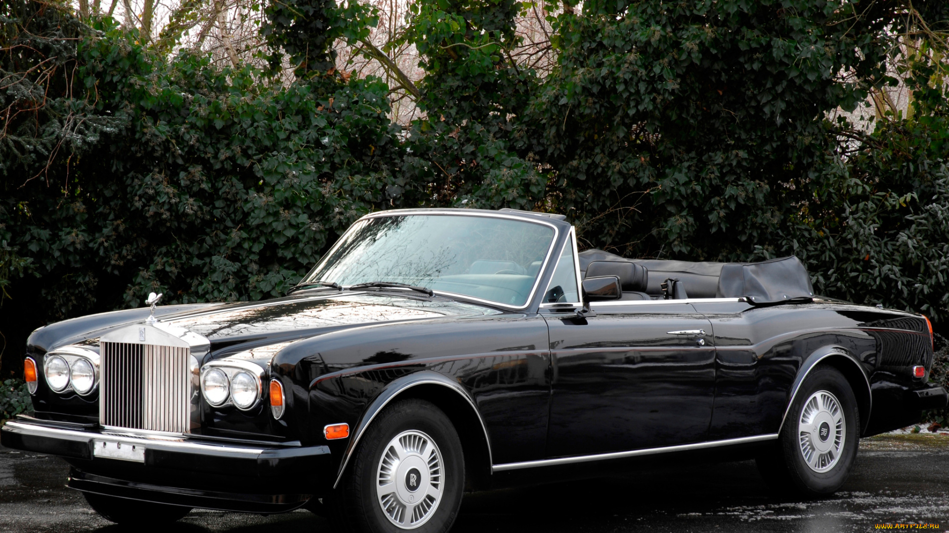 rolls-royce, corniche, iii, 1989, автомобили, rolls-royce, 1989, corniche, iii