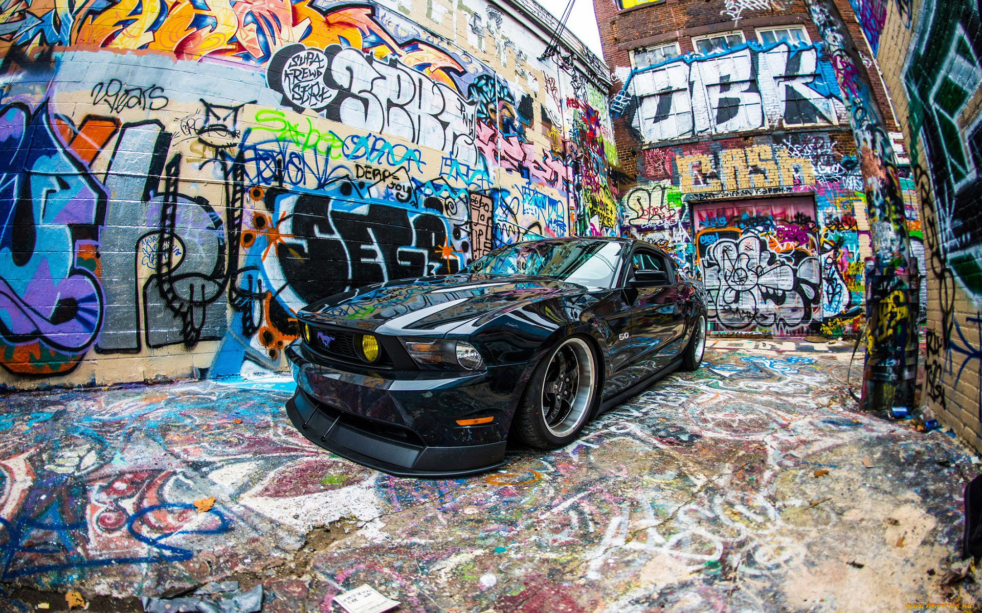 автомобили, mustang