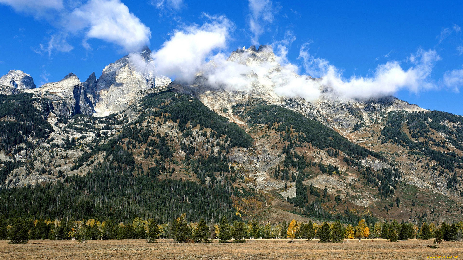 природа, горы, облака, деревья