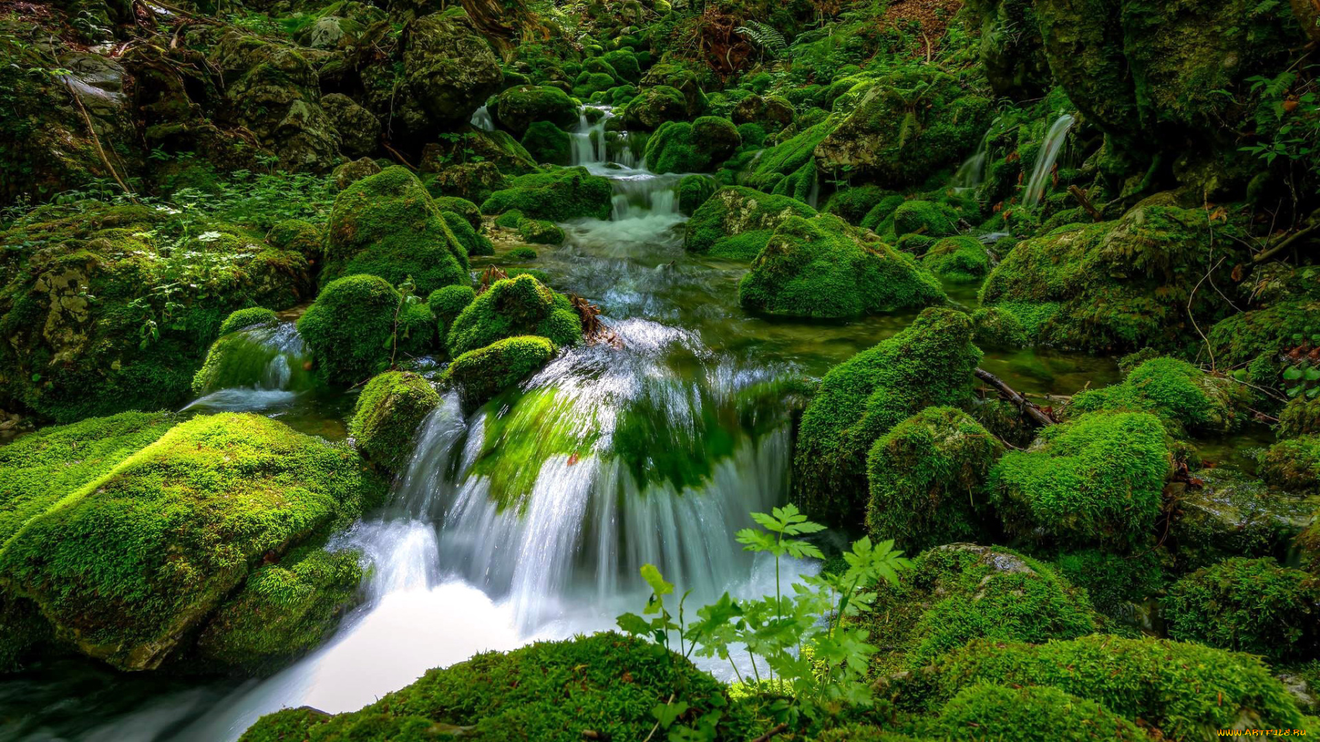 природа, водопады, водопад, вода, поток