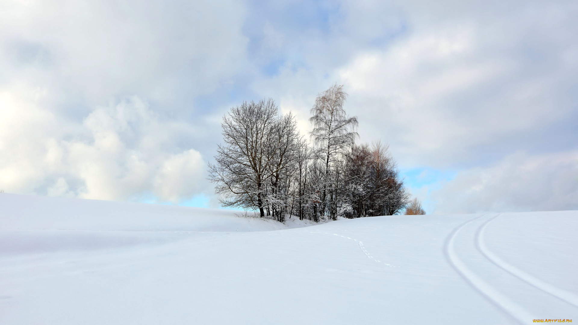 природа, зима, снег, сугробы