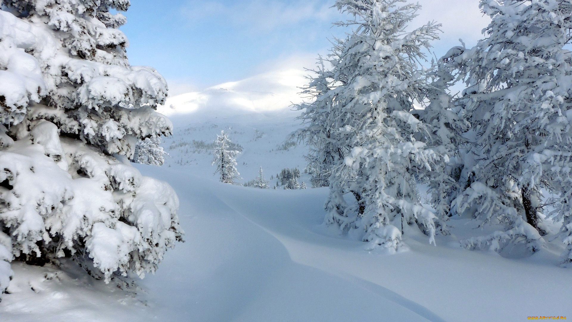 природа, зима, снег, сугробы