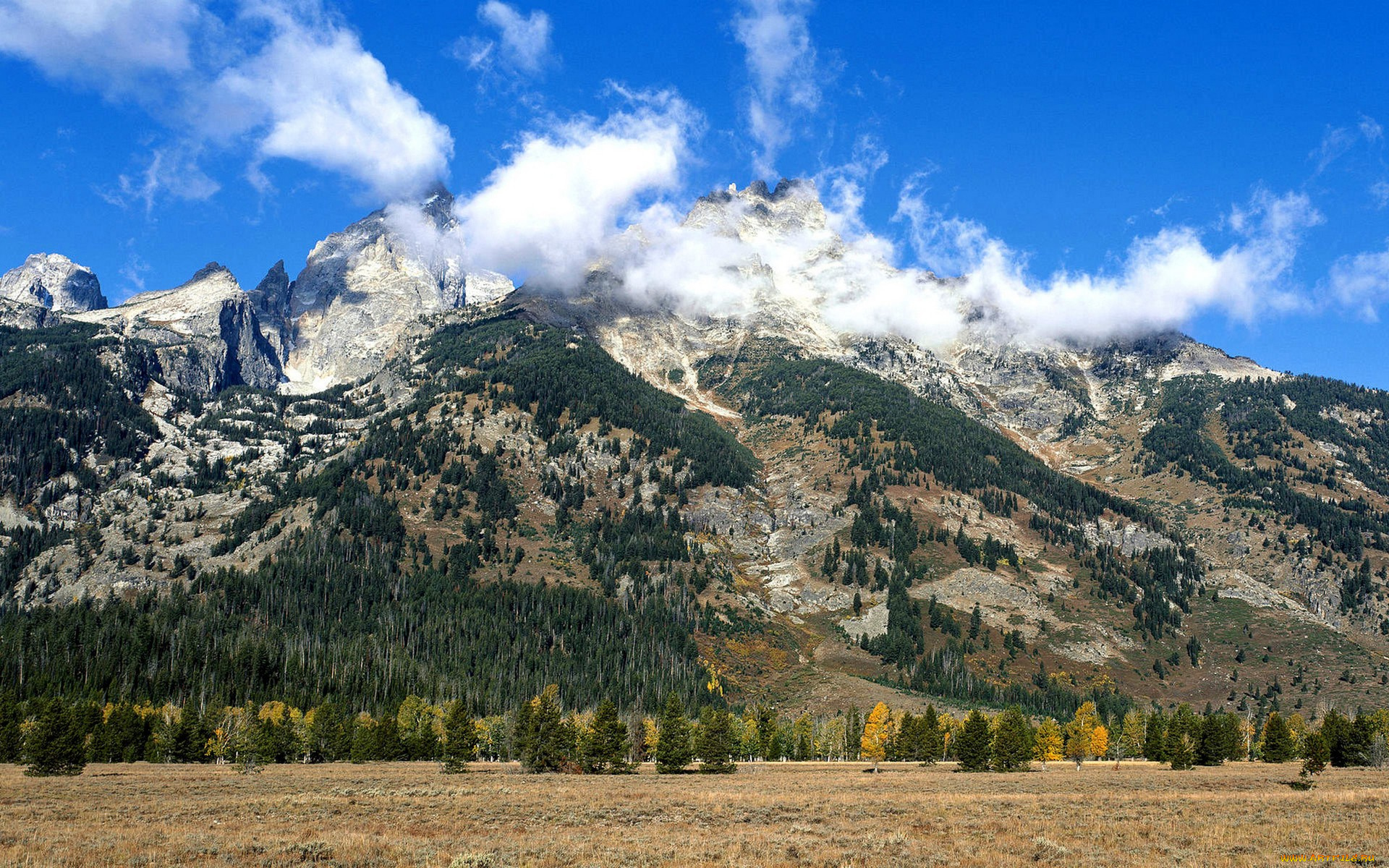 природа, горы, облака, деревья