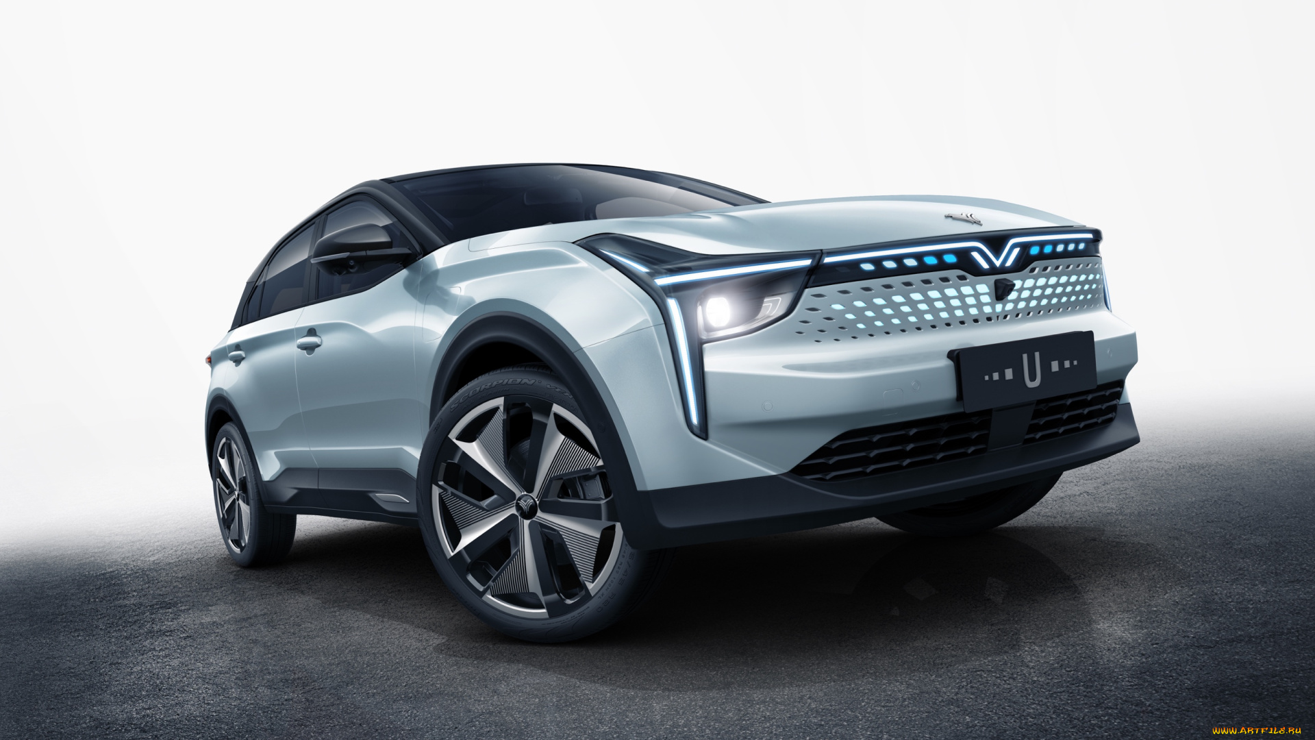 автомобили, hozon