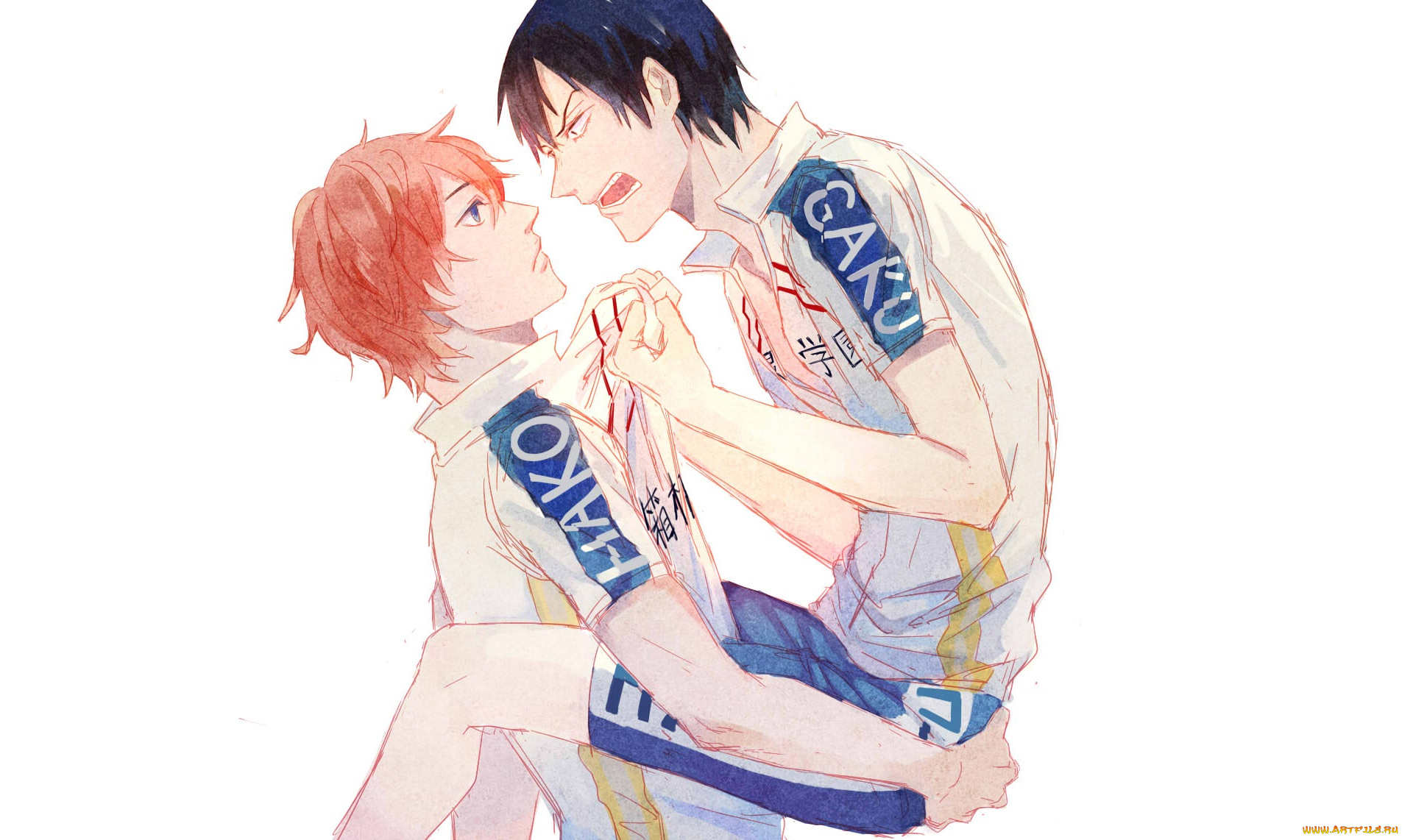 аниме, yowamushi, pedal, yowamushi, pedal