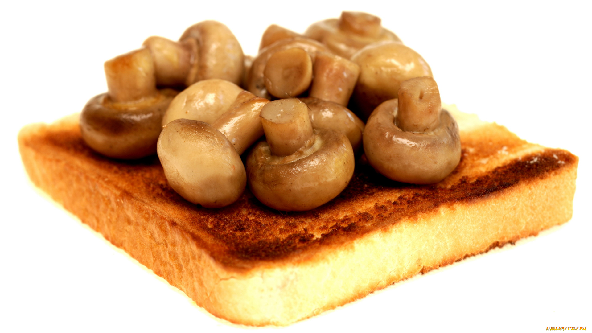 еда, грибы, , грибные, блюда, тост, шампиньоны