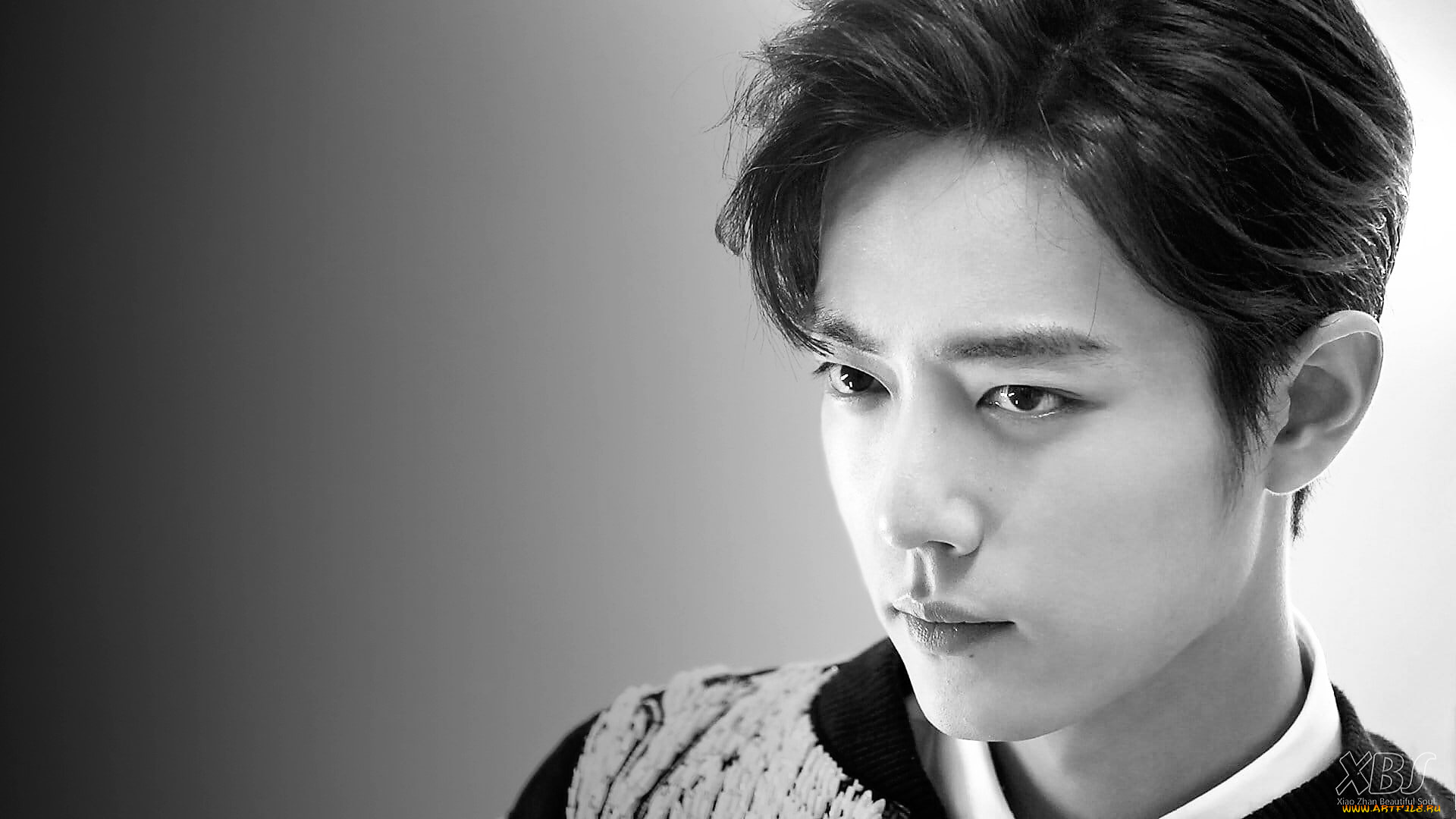 мужчины, xiao, zhan, актер, лицо