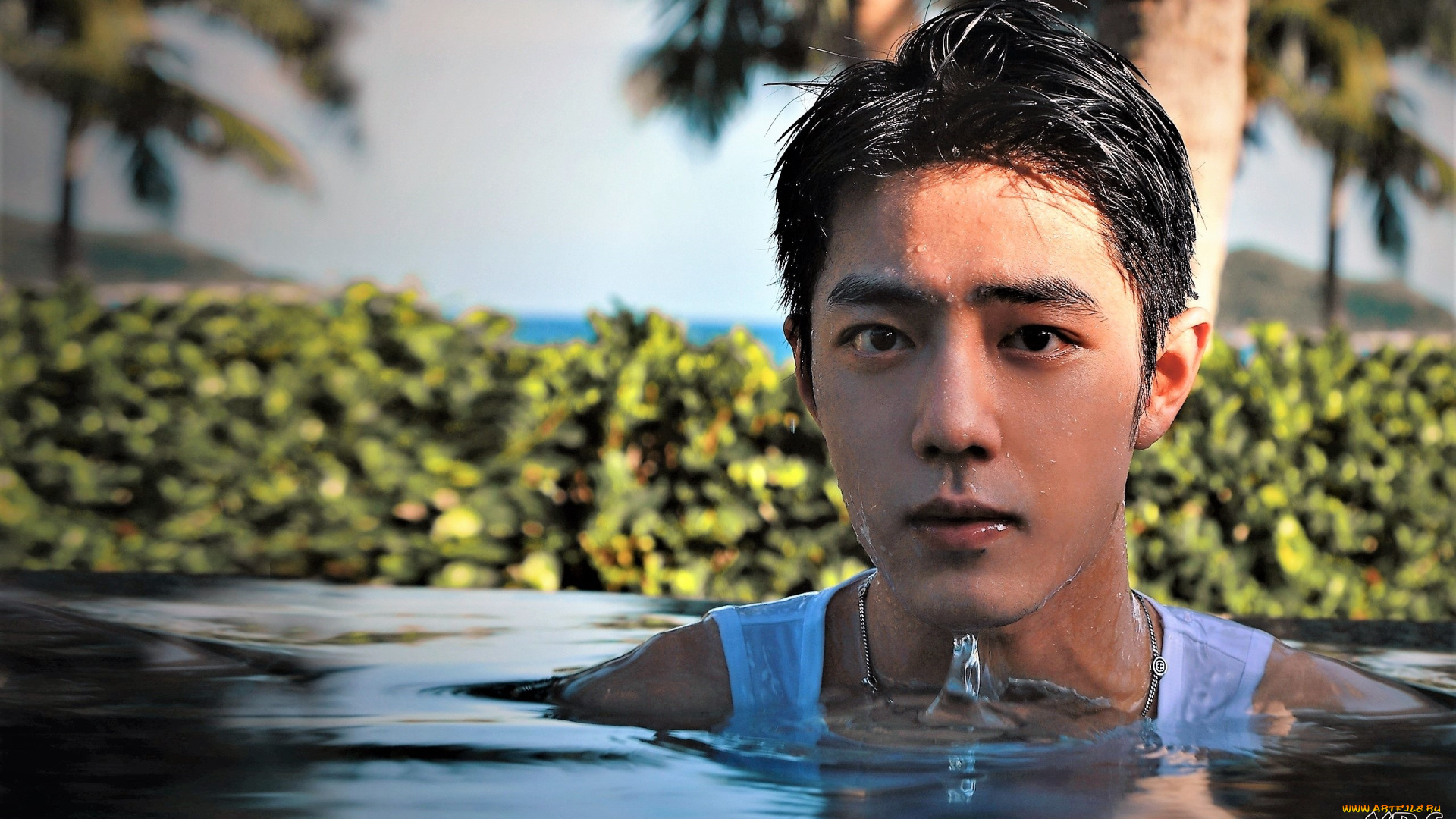 мужчины, xiao, zhan, лицо, капли, майка, бассейн