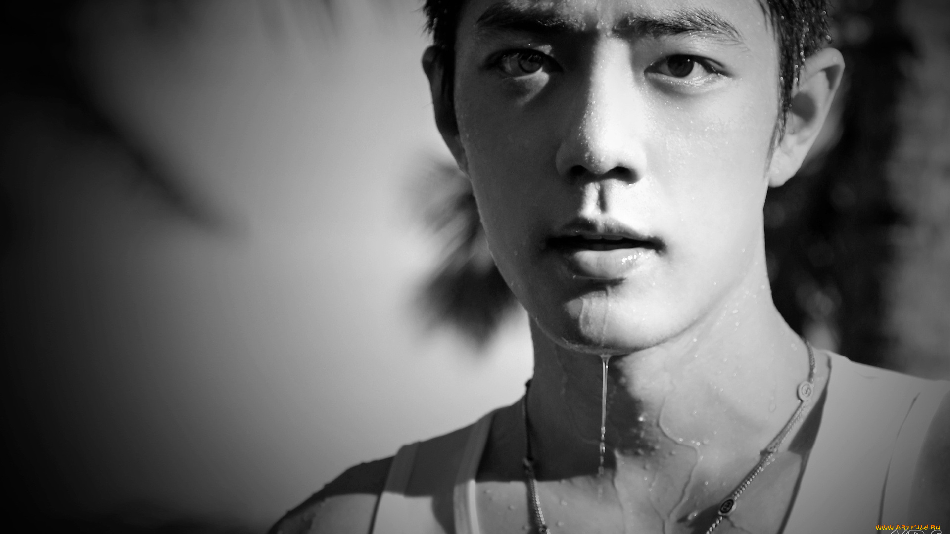 мужчины, xiao, zhan, лицо, капли, вода, майка