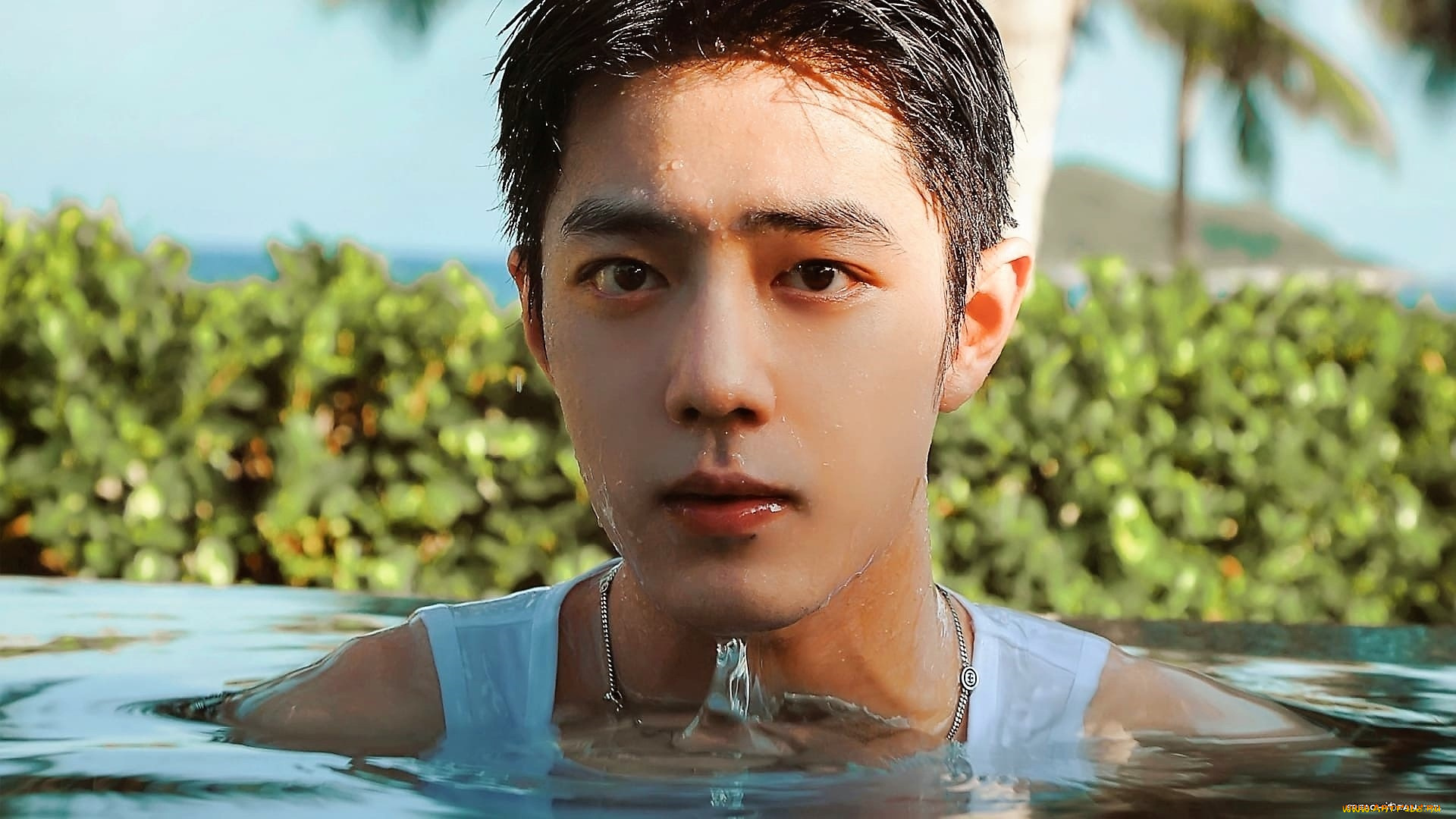 мужчины, xiao, zhan, лицо, майка, капли, бассейн