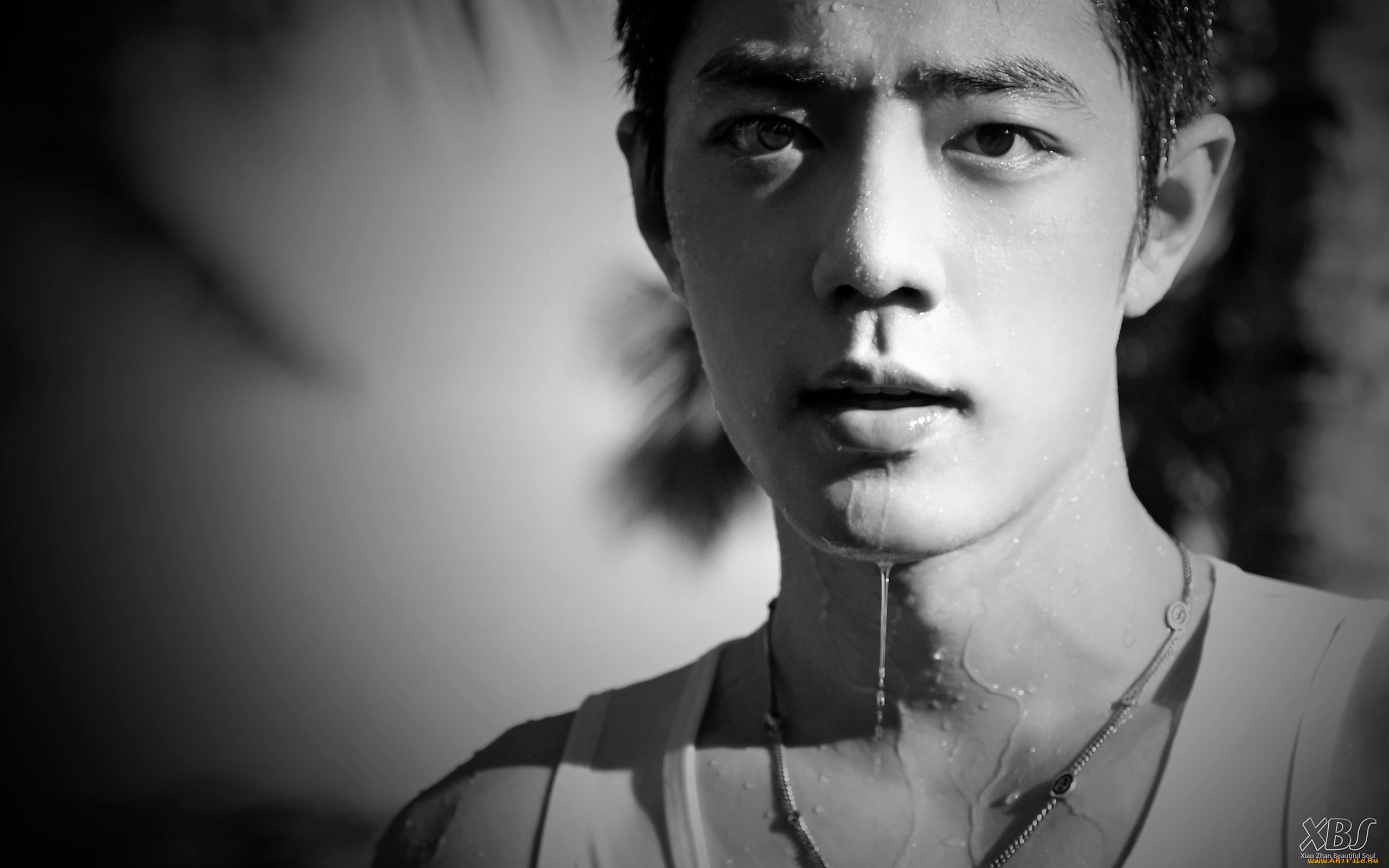мужчины, xiao, zhan, лицо, капли, вода, майка