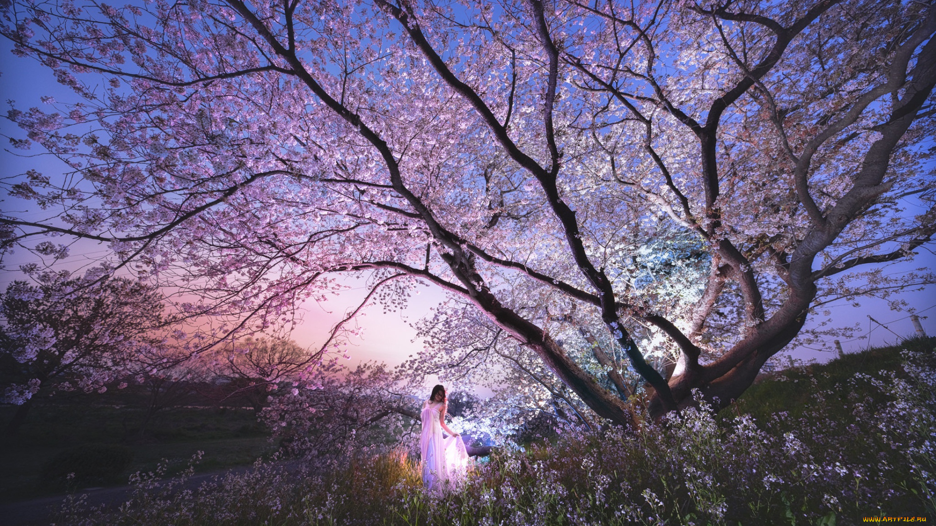 девушки, -, брюнетки, , шатенки, дерево, девушка