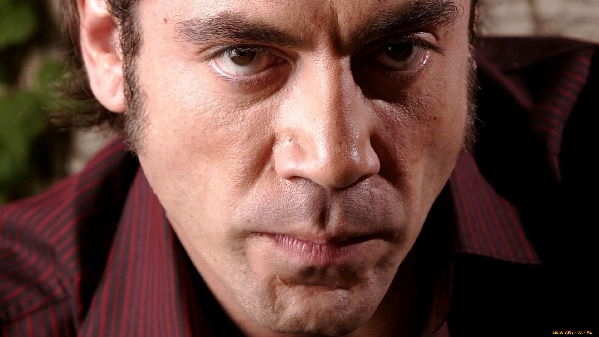 мужчины, javier, bardem, актер, лицо