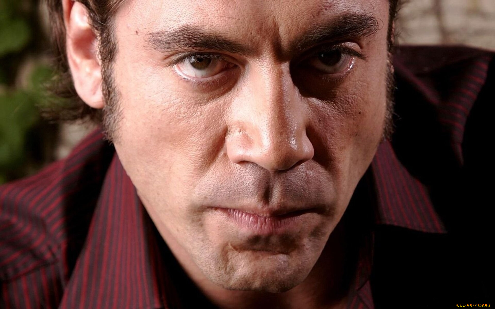 мужчины, javier, bardem, актер, лицо