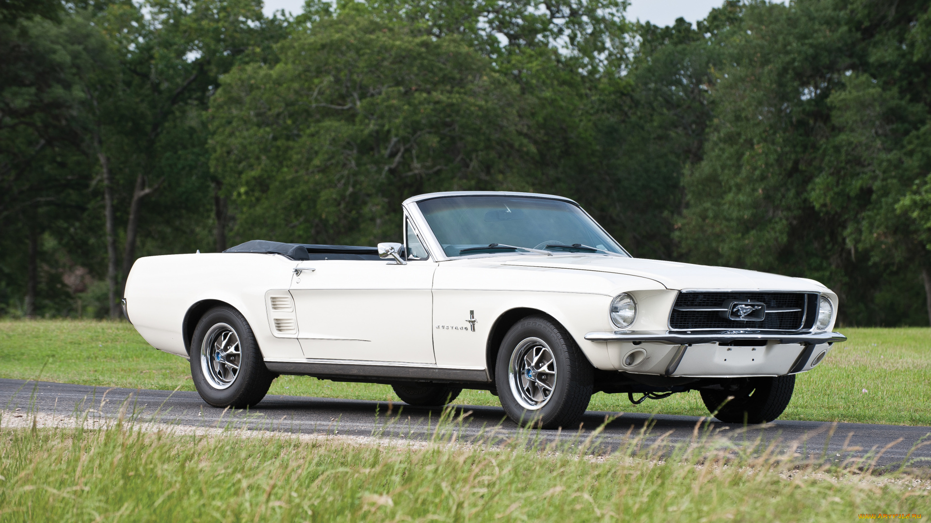 автомобили, mustang