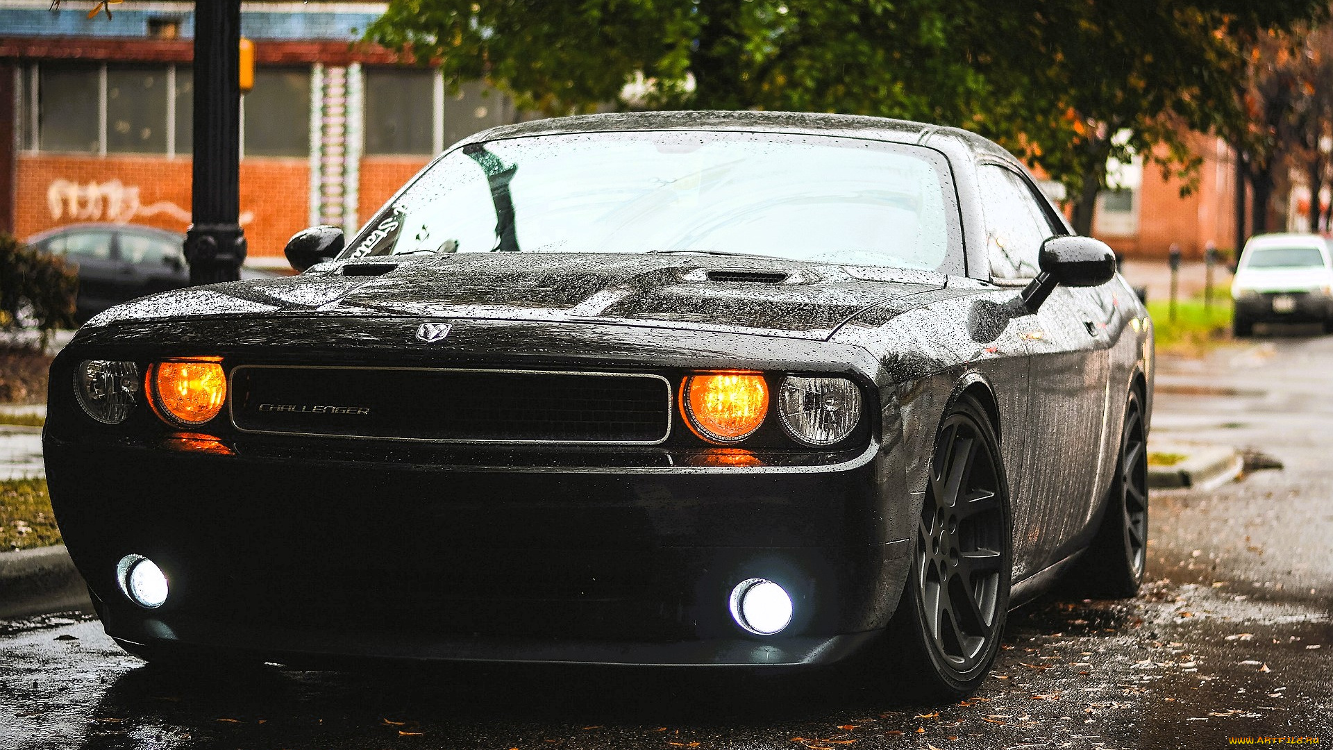dodge, challenger, автомобили, dodge, черный, дождь, город, улица