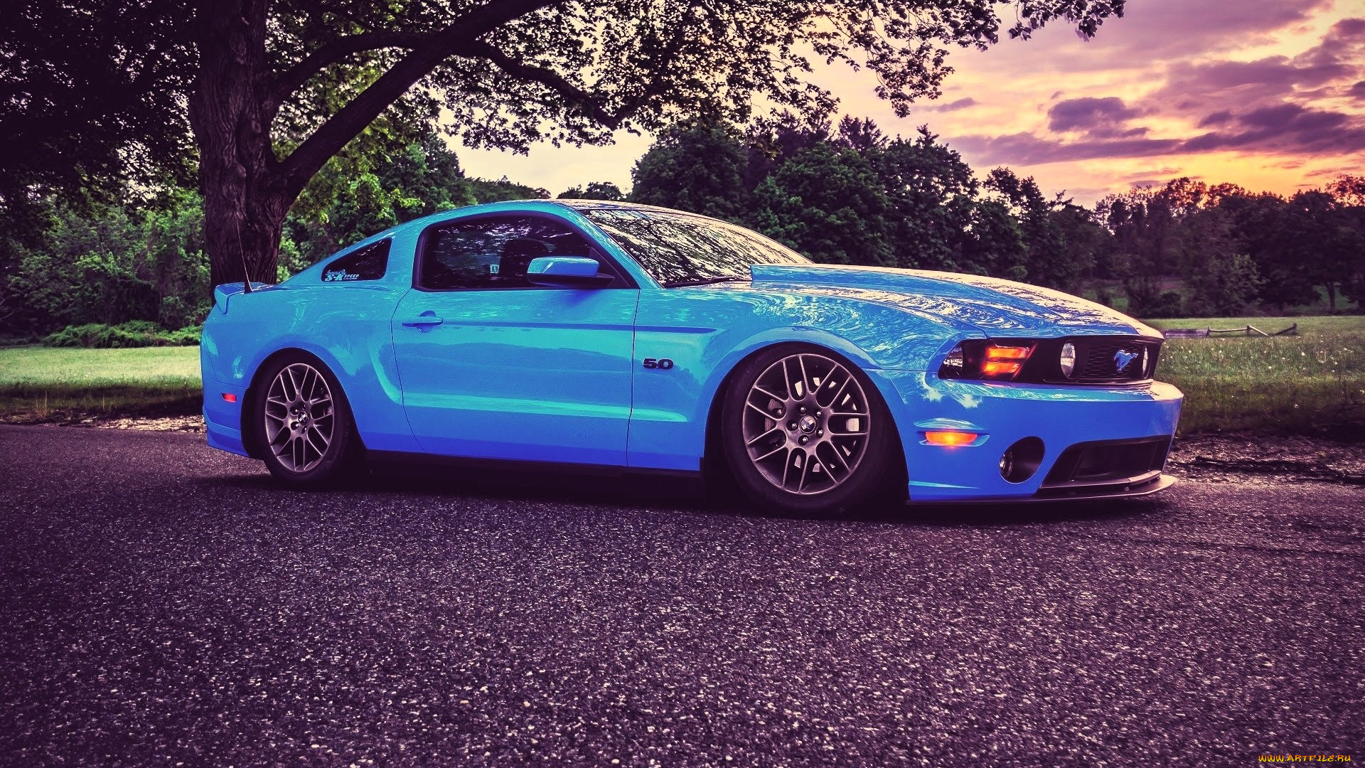 ford, mustang, автомобили, mustang, голубой, поляна, роща