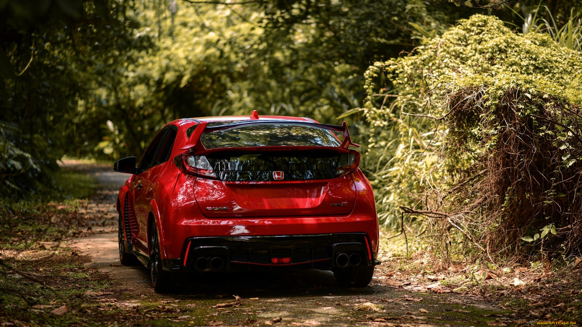 honda, fk2, type, r, автомобили, honda, красный, дорога, кусты, аллея, деревья