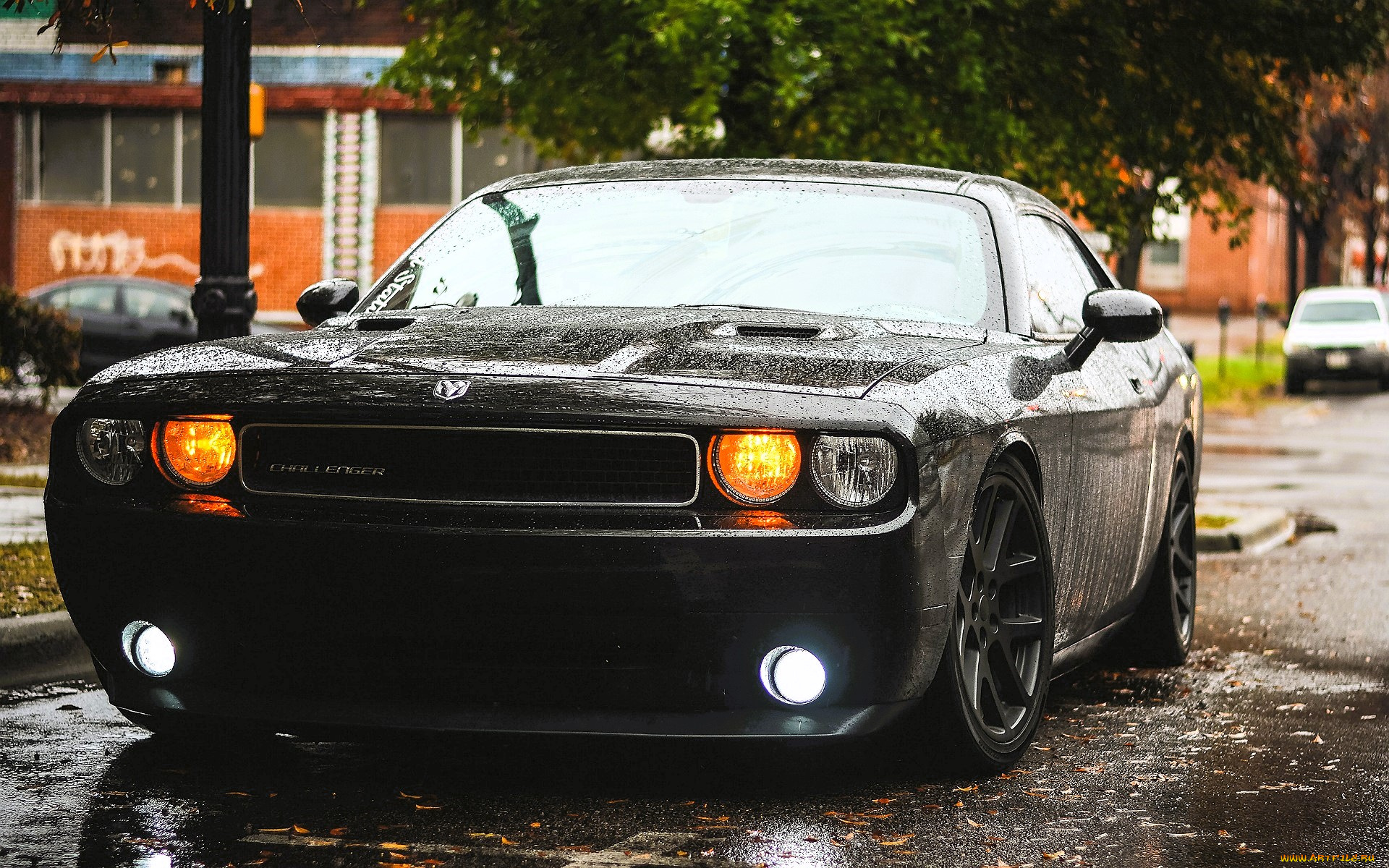 dodge, challenger, автомобили, dodge, черный, дождь, город, улица