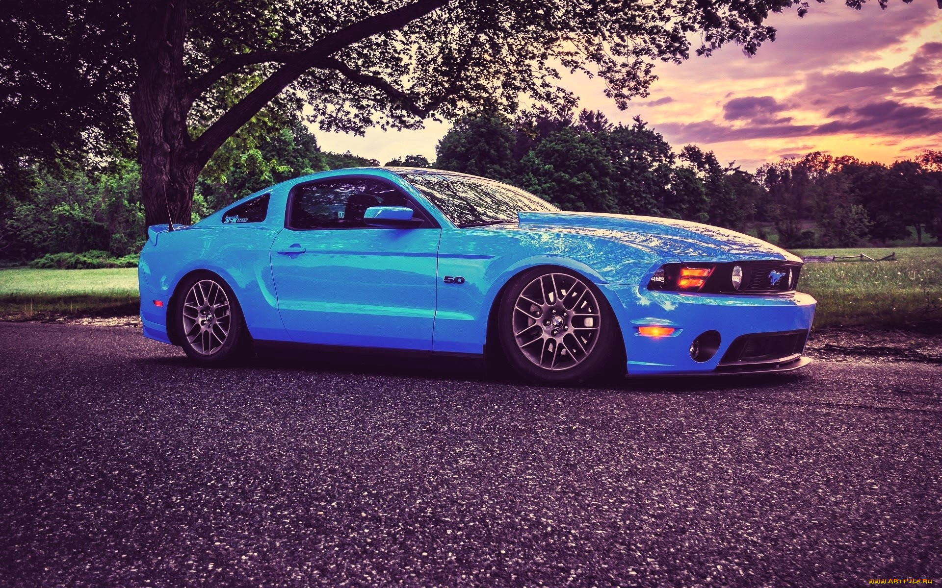 ford, mustang, автомобили, mustang, голубой, поляна, роща