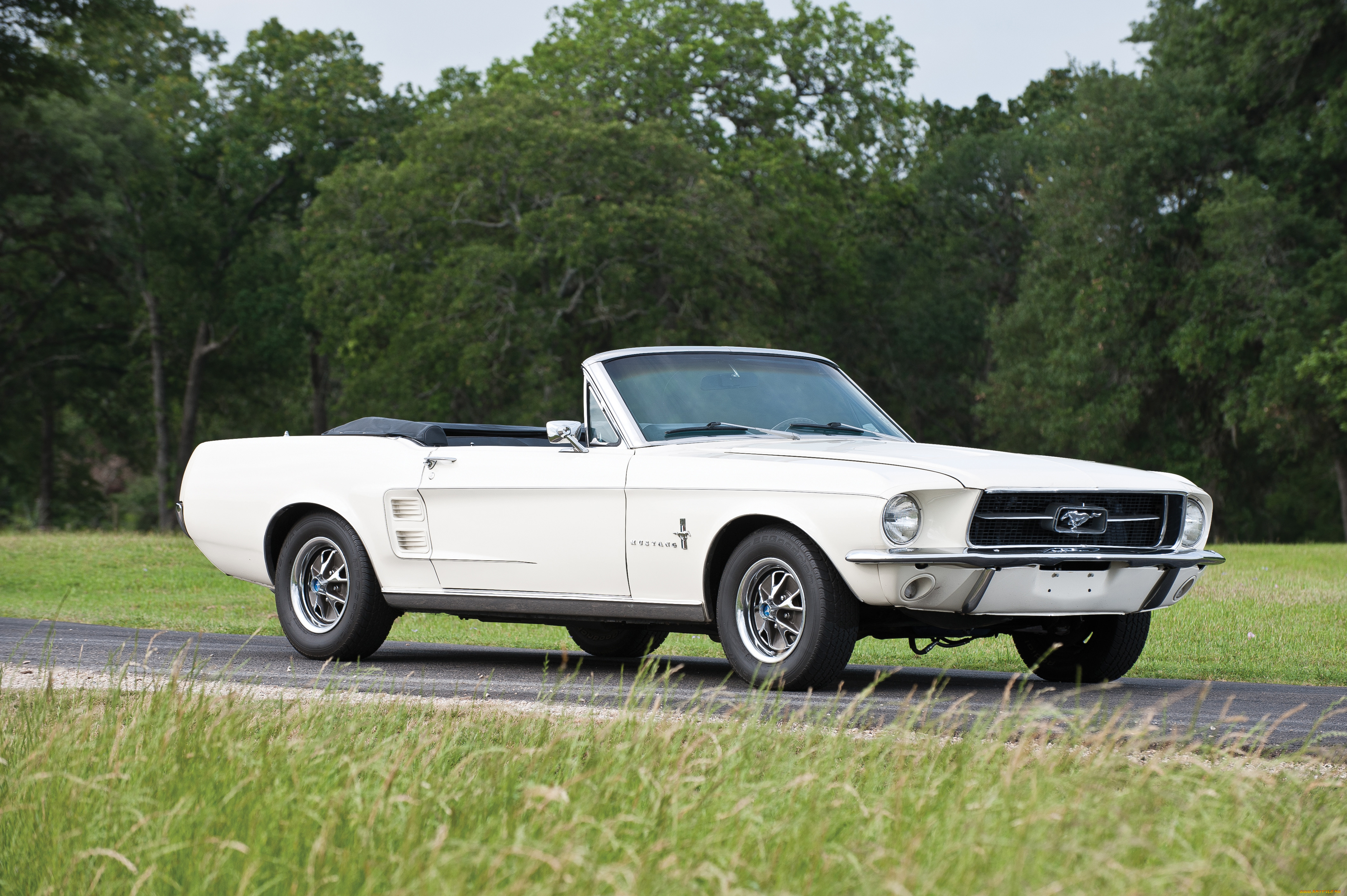 автомобили, mustang