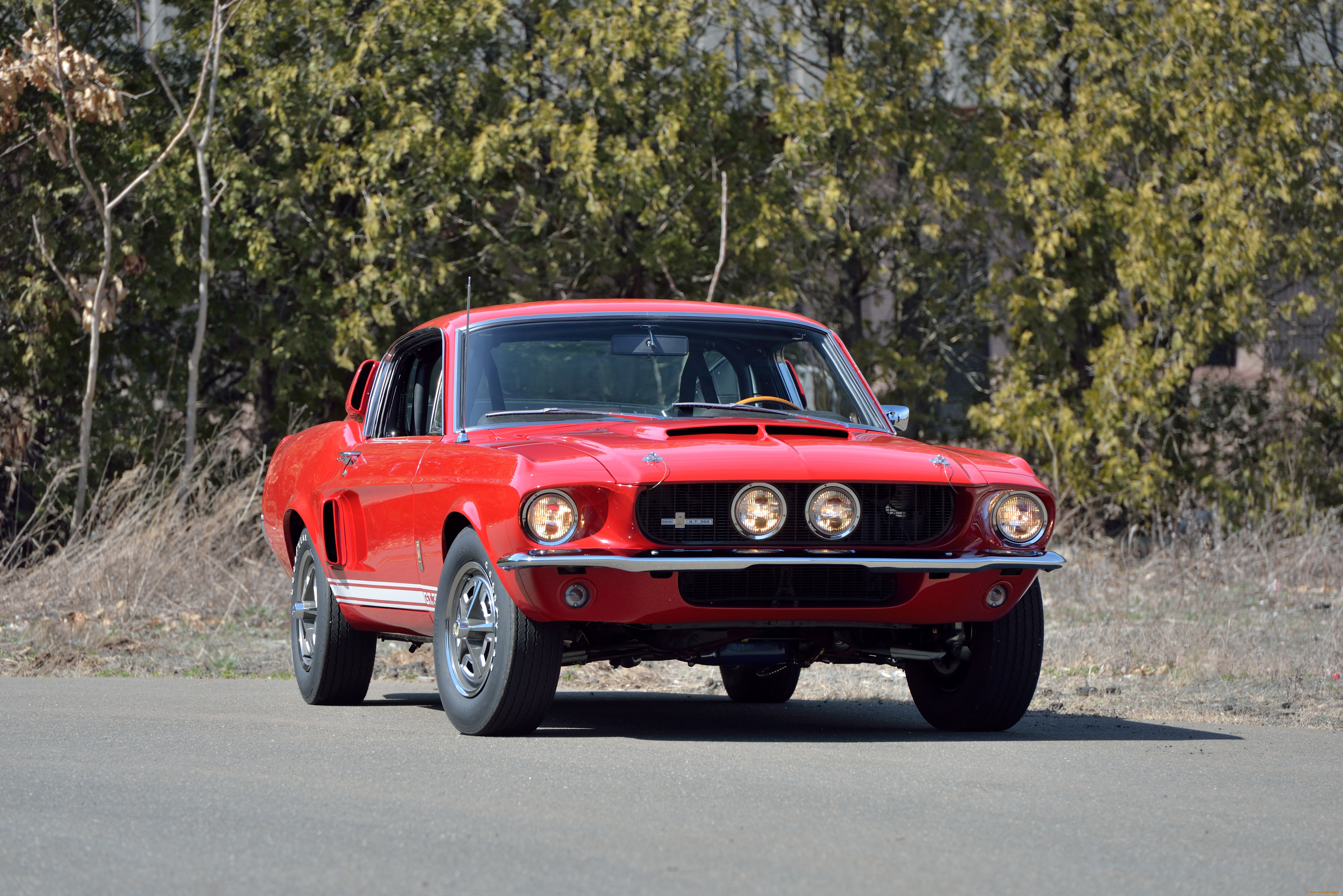 автомобили, mustang