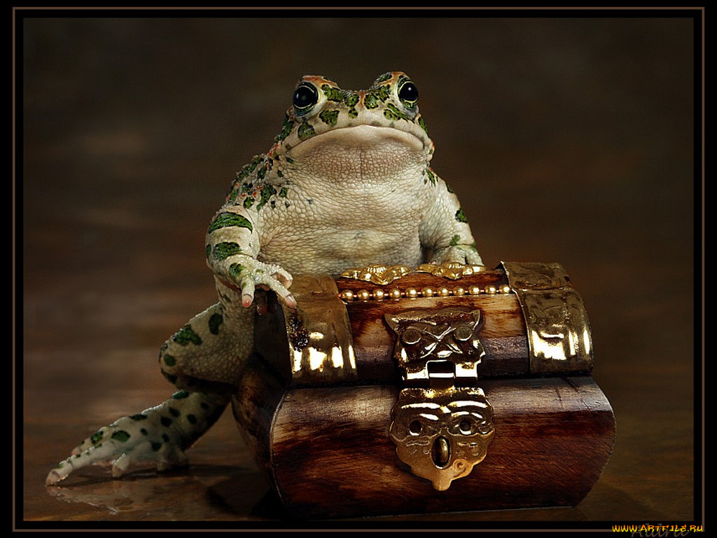 алдра, гобсек, животные, лягушки